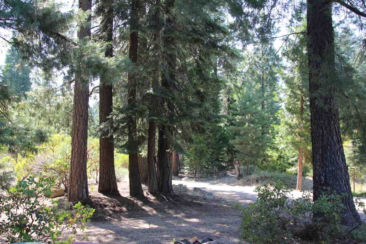 Lot 5 Davis Place Road Mount Shasta, CA 96067 - Photo 10 of 11 Gallery Image 10