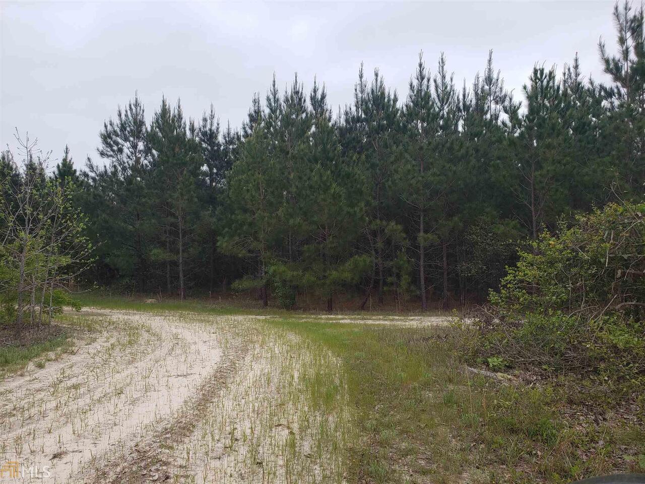 0 Gibbs Road Avera, GA 30803 - Photo 1 of 1 a view of a backyard