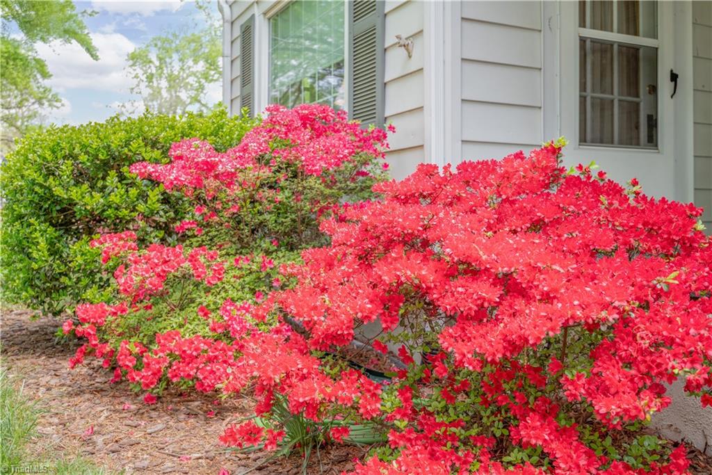 4115 Ebert Road Winston-Salem, NC 27127 - Photo 31 of 31