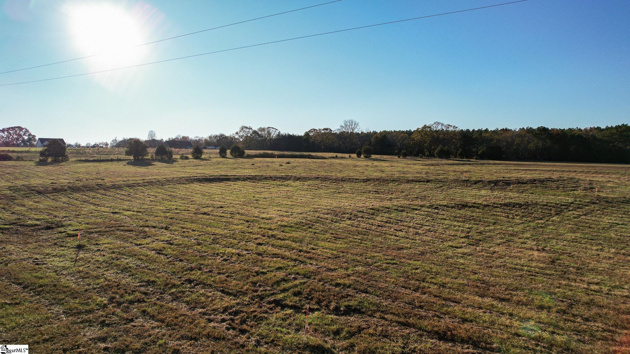 8 Shady Grove Road, Unit LOT 8 Honea Path, SC 29654 - Photo 12 of 24