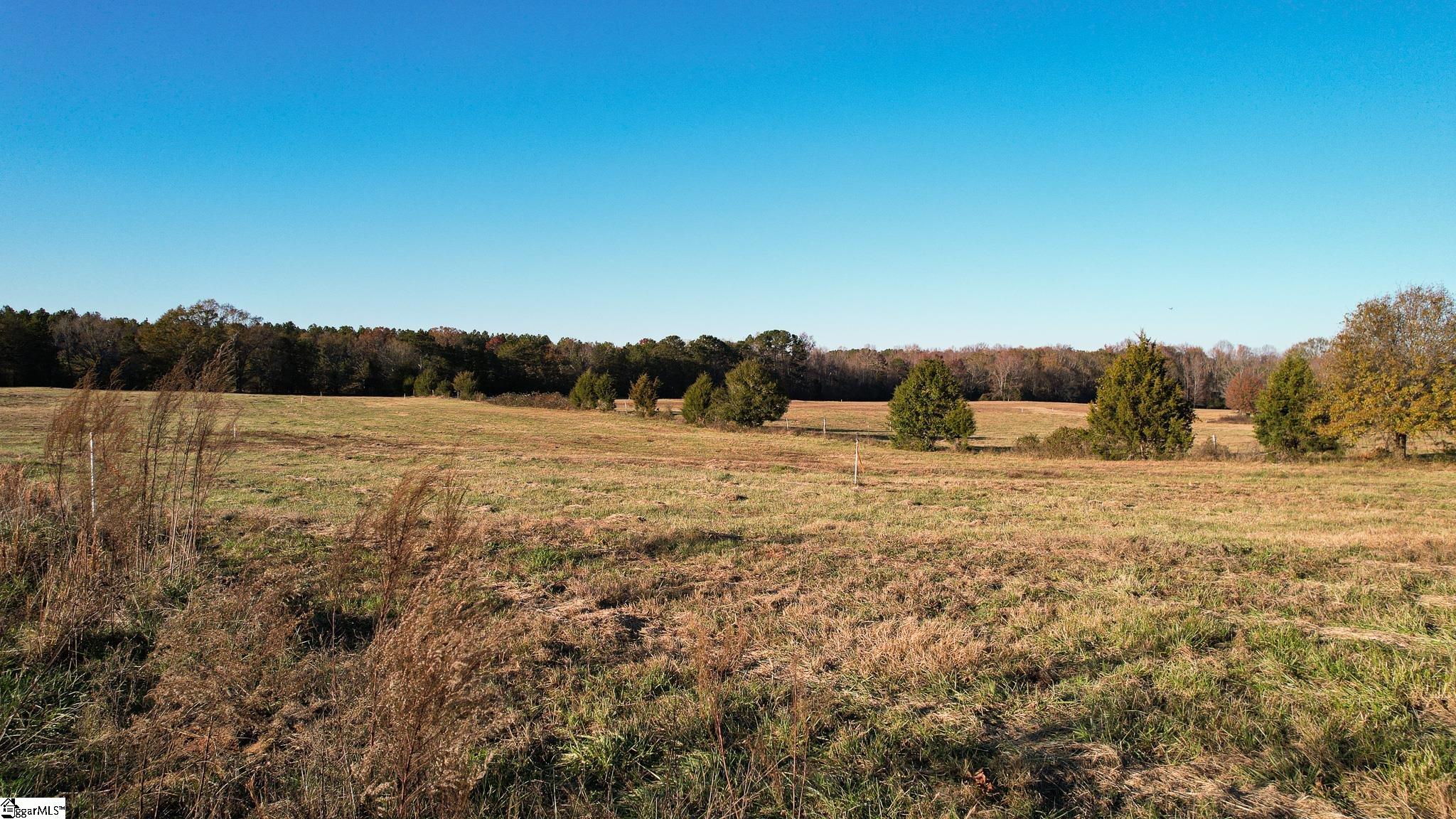 8 Shady Grove Road, Unit LOT 8 Honea Path, SC 29654 - Photo 13 of 24