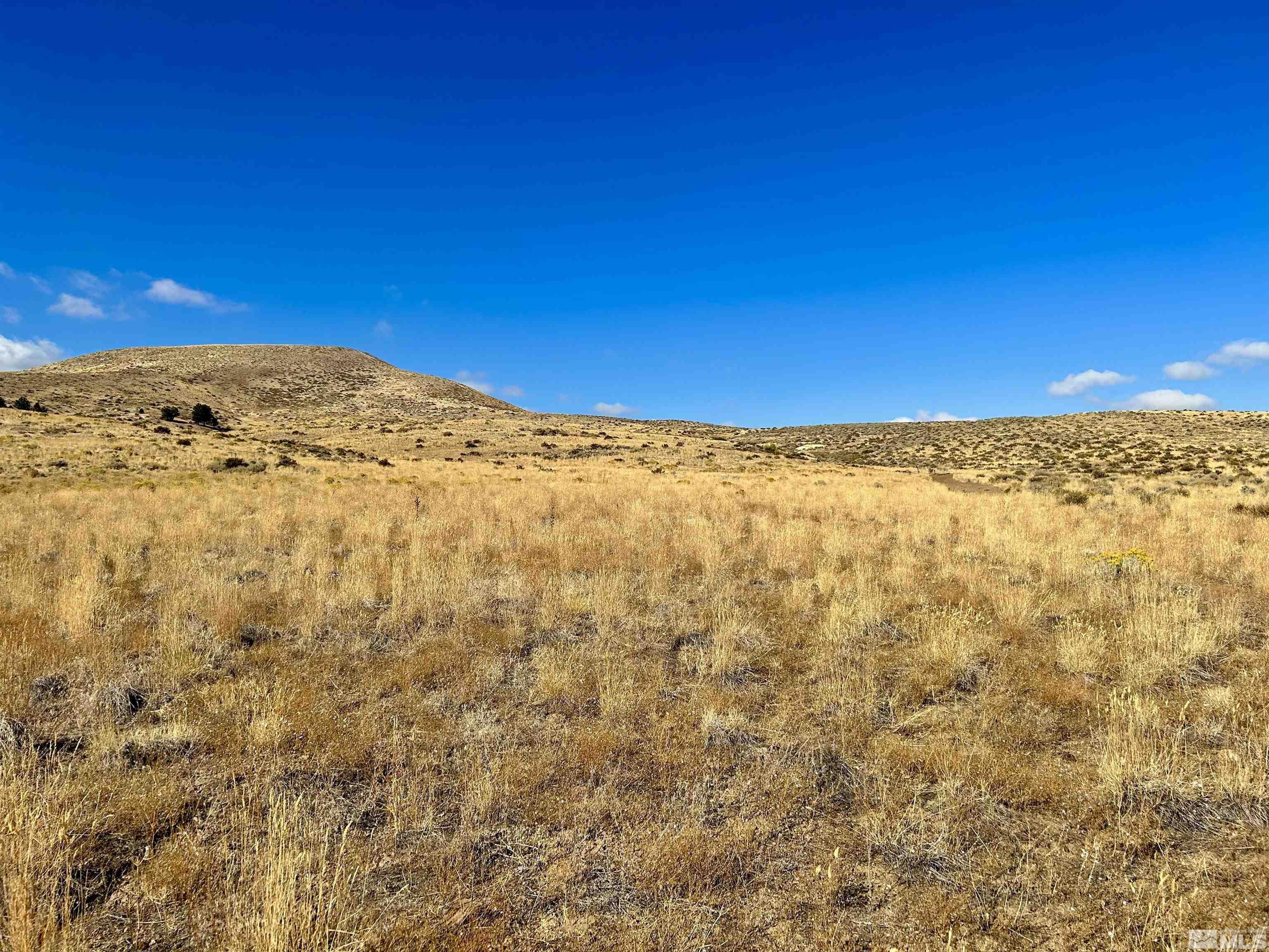 6005 Hoge Road Reno, NV 89506 - Photo 1 of 22 Photo 1