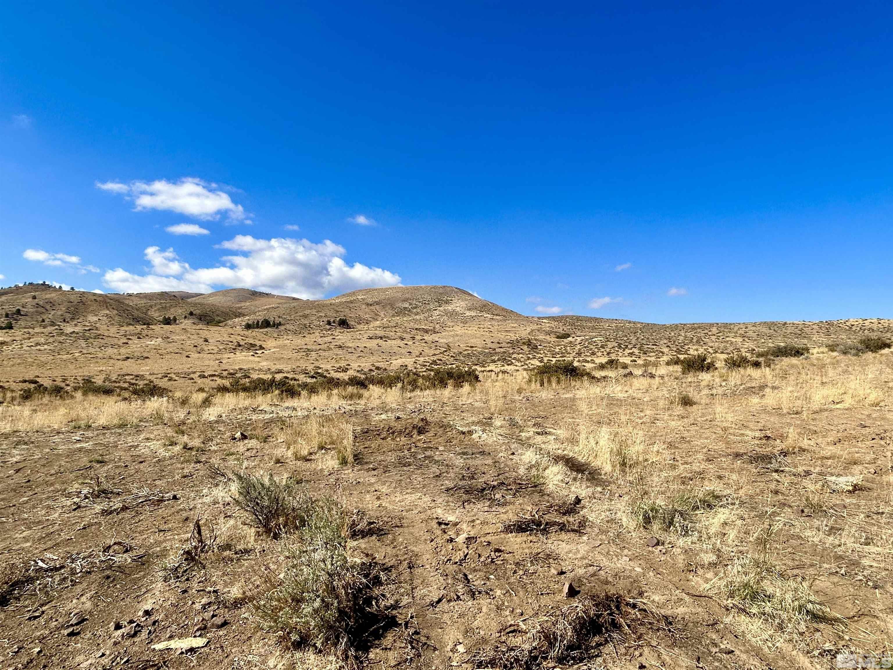 6005 Hoge Road Reno, NV 89506 - Photo 11 of 22 Photo 11