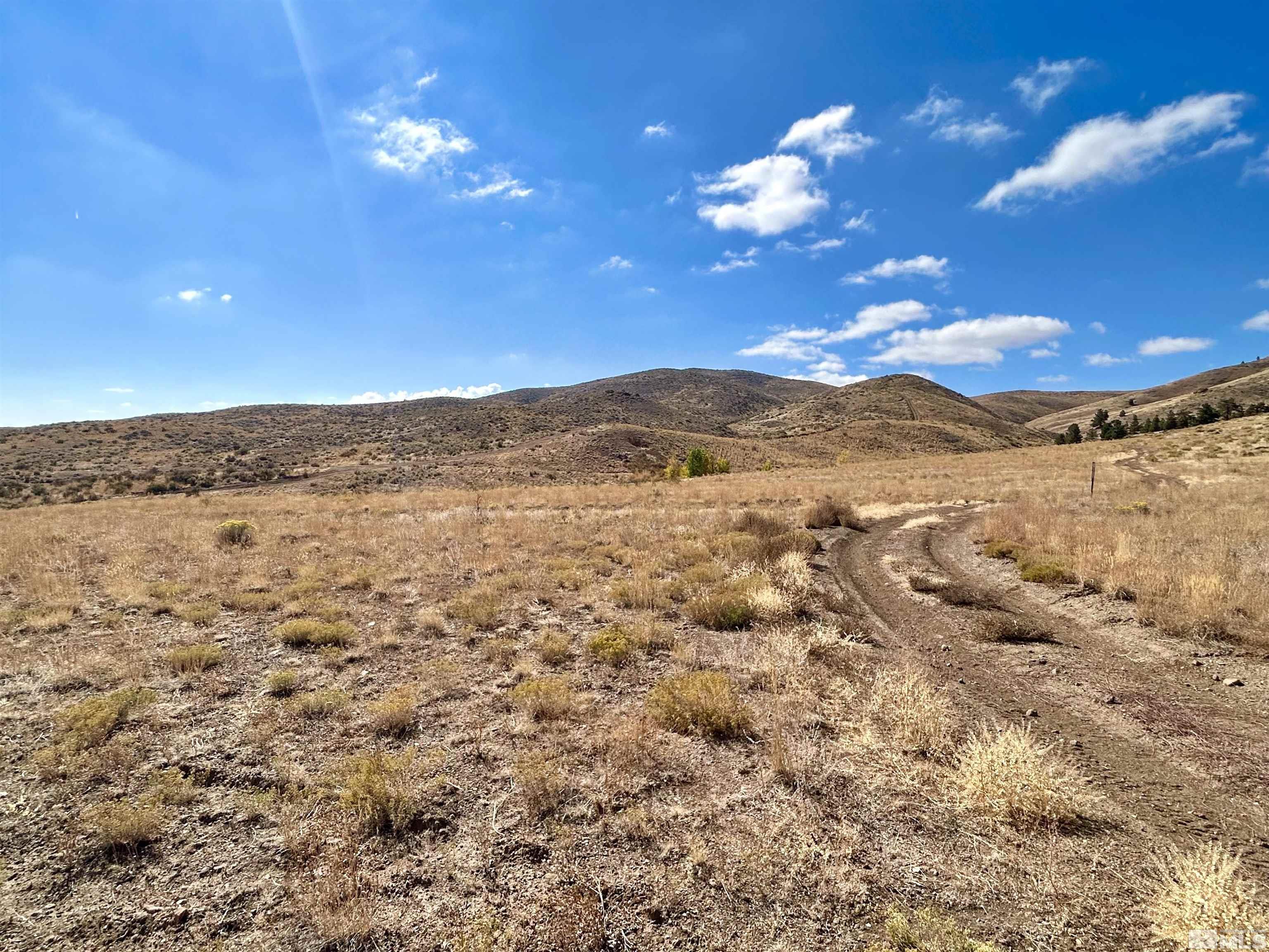 6005 Hoge Road Reno, NV 89506 - Photo 14 of 22 Photo 14