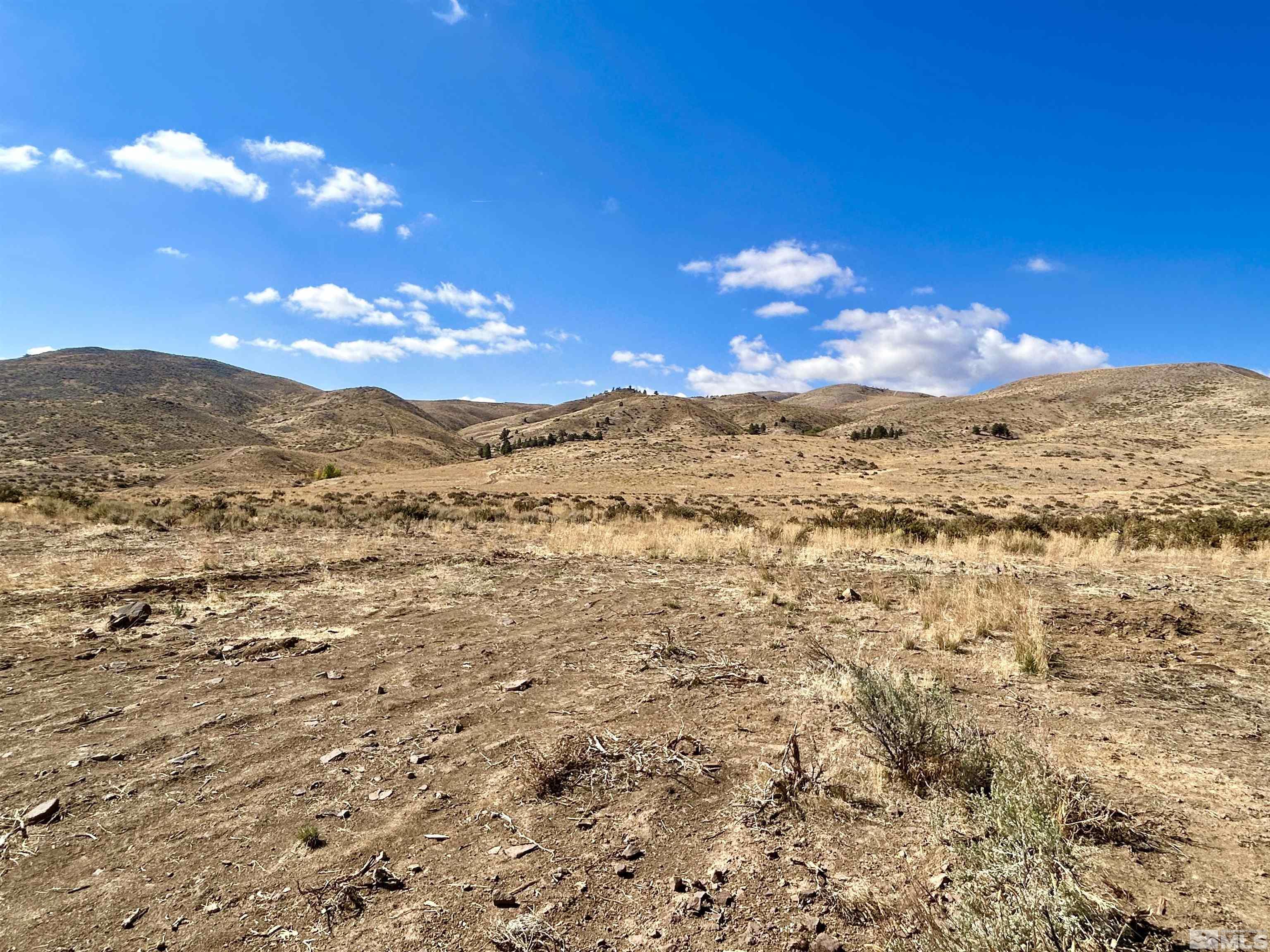 6005 Hoge Road Reno, NV 89506 - Photo 8 of 22 Photo 8