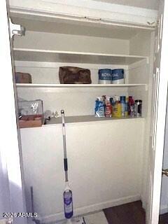 151 East Broadway Road, Unit 103 Tempe, AZ 85282 - Photo 18 of 37 Storage Closet (inside)