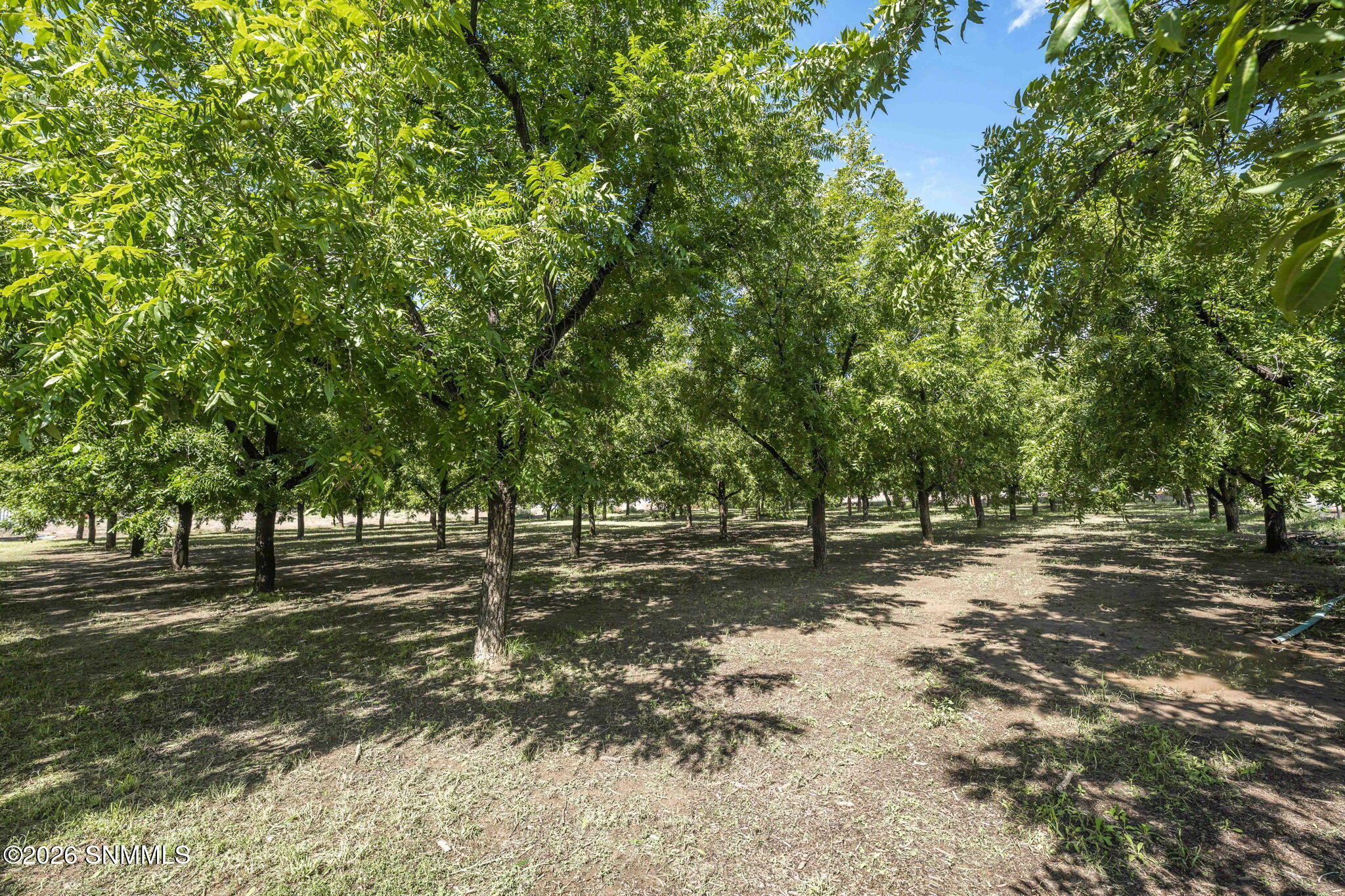 4843 Grider Road Las Cruces, NM 88007 - Photo 68 of 72 17-web-or-mls-Snappin Homes (Grider4843)