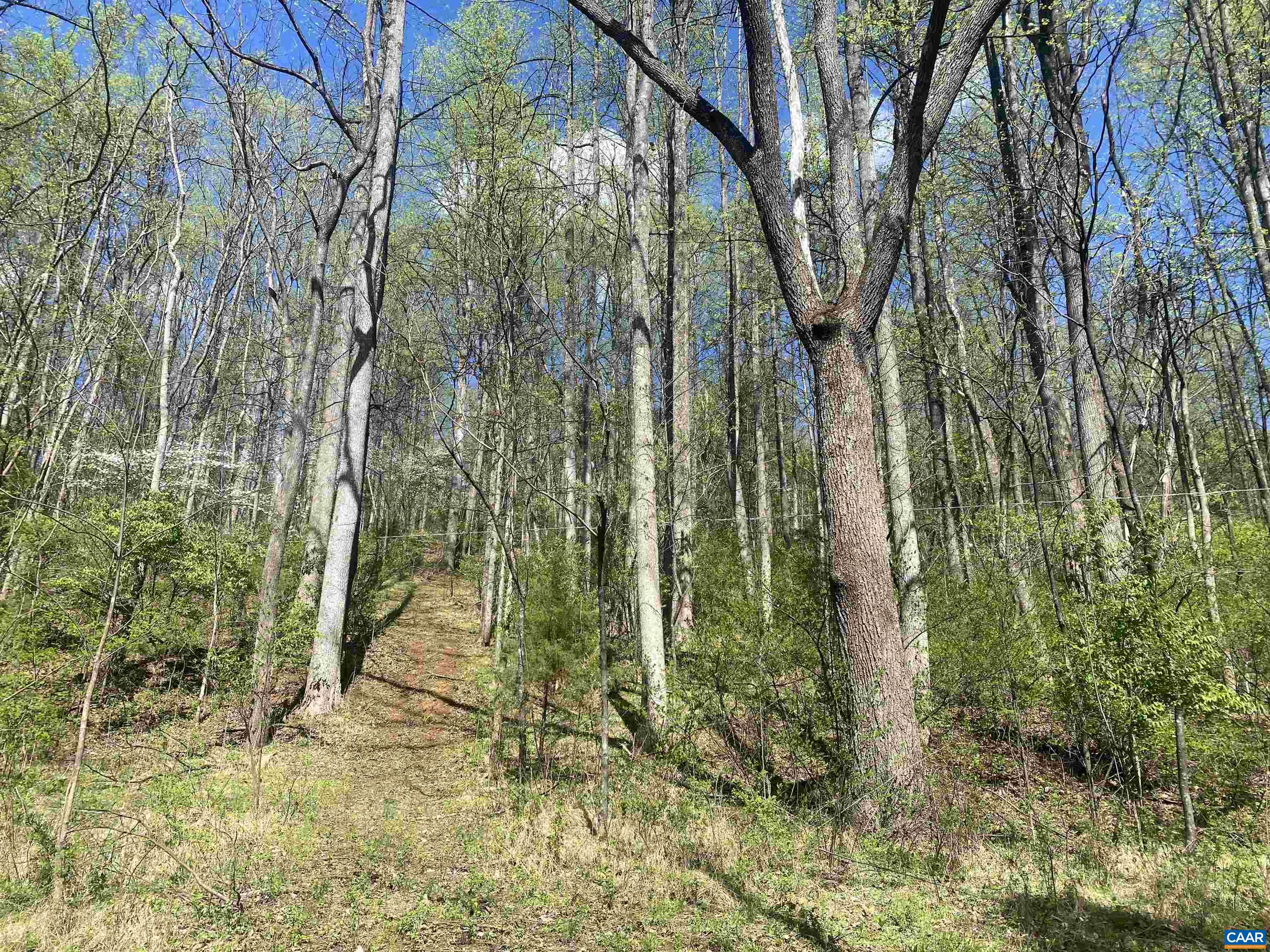 2728 East Branch Loop Roseland, VA 22967 - Photo 39 of 45