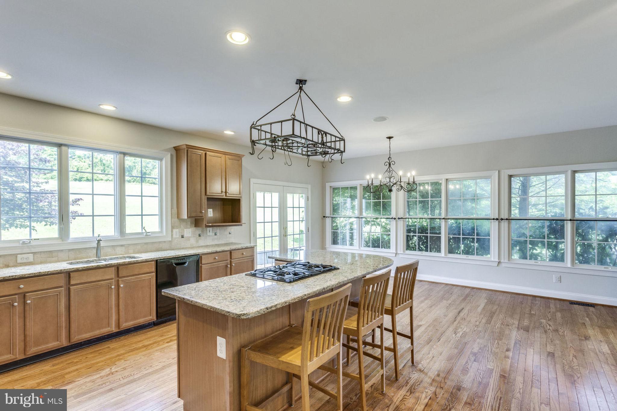 17559 Kinloch Ridge Court Leesburg, VA 20175 - Photo 13 of 30 Large Island