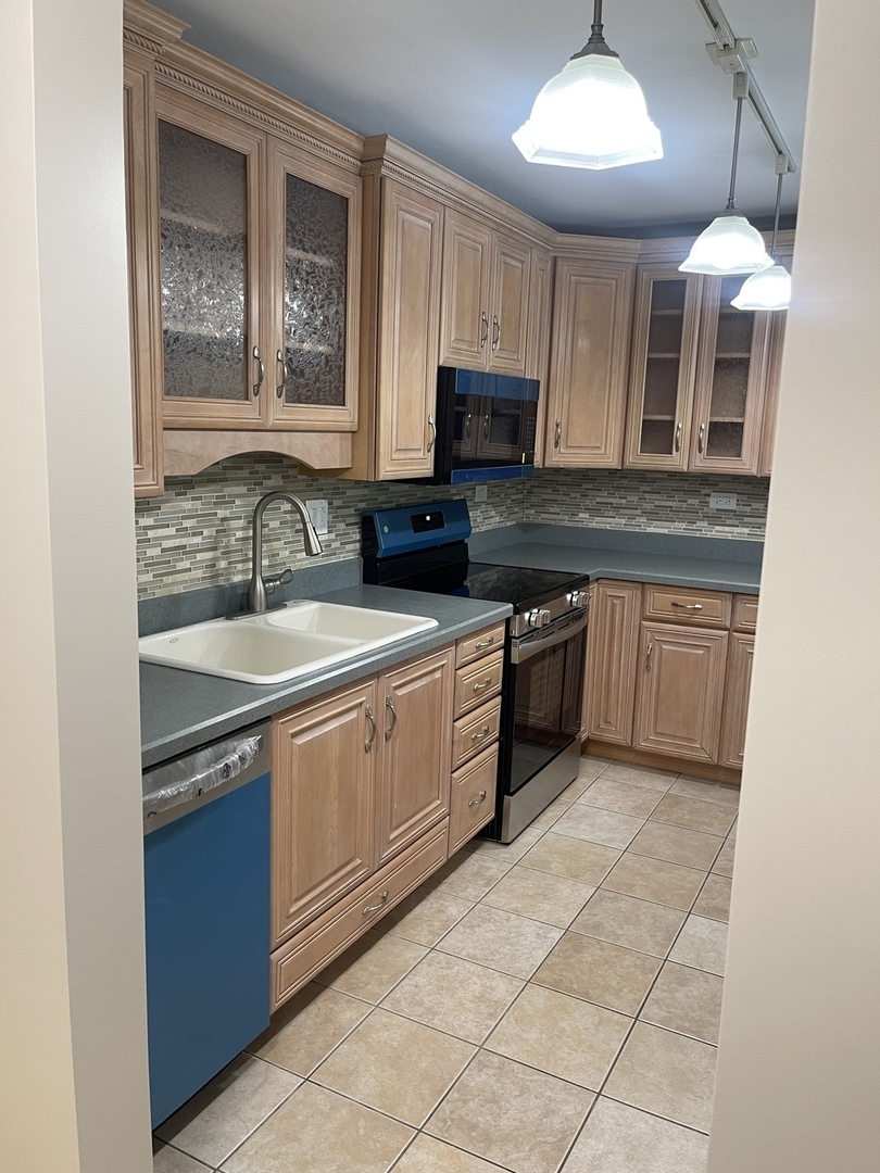 1405 East Central Road, Unit 201A Arlington Heights, IL 60005 - Photo 3 of 30