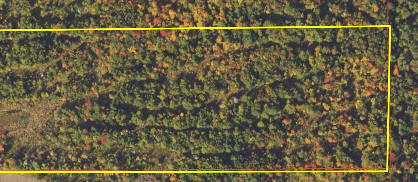 3-2a Woodland Center Road Perham, ME 04766 - Photo 7 of 7