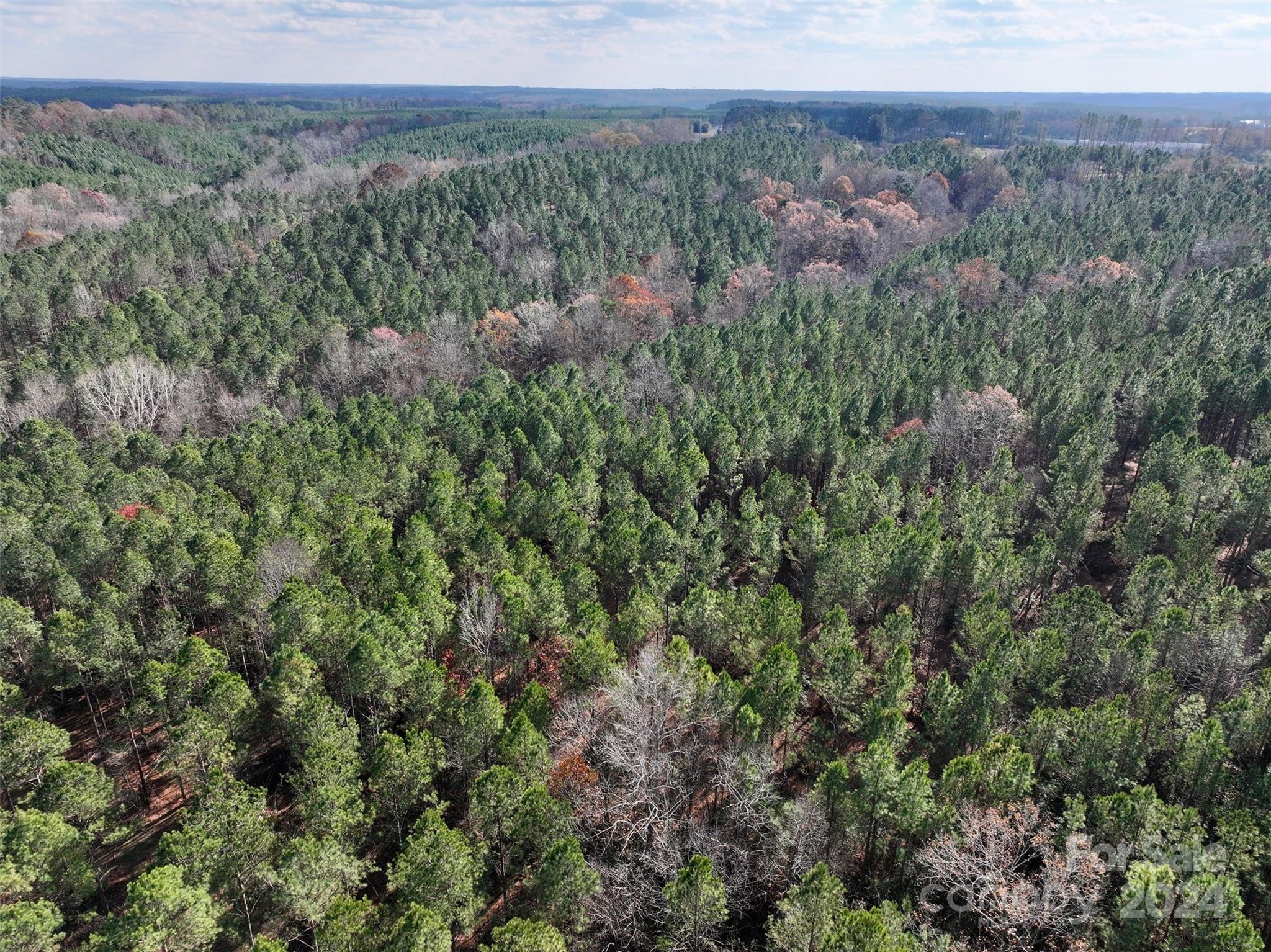 Tbd Gatewood Station Road Morven, NC 28119 - Photo 1 of 17 Gallery Image 1