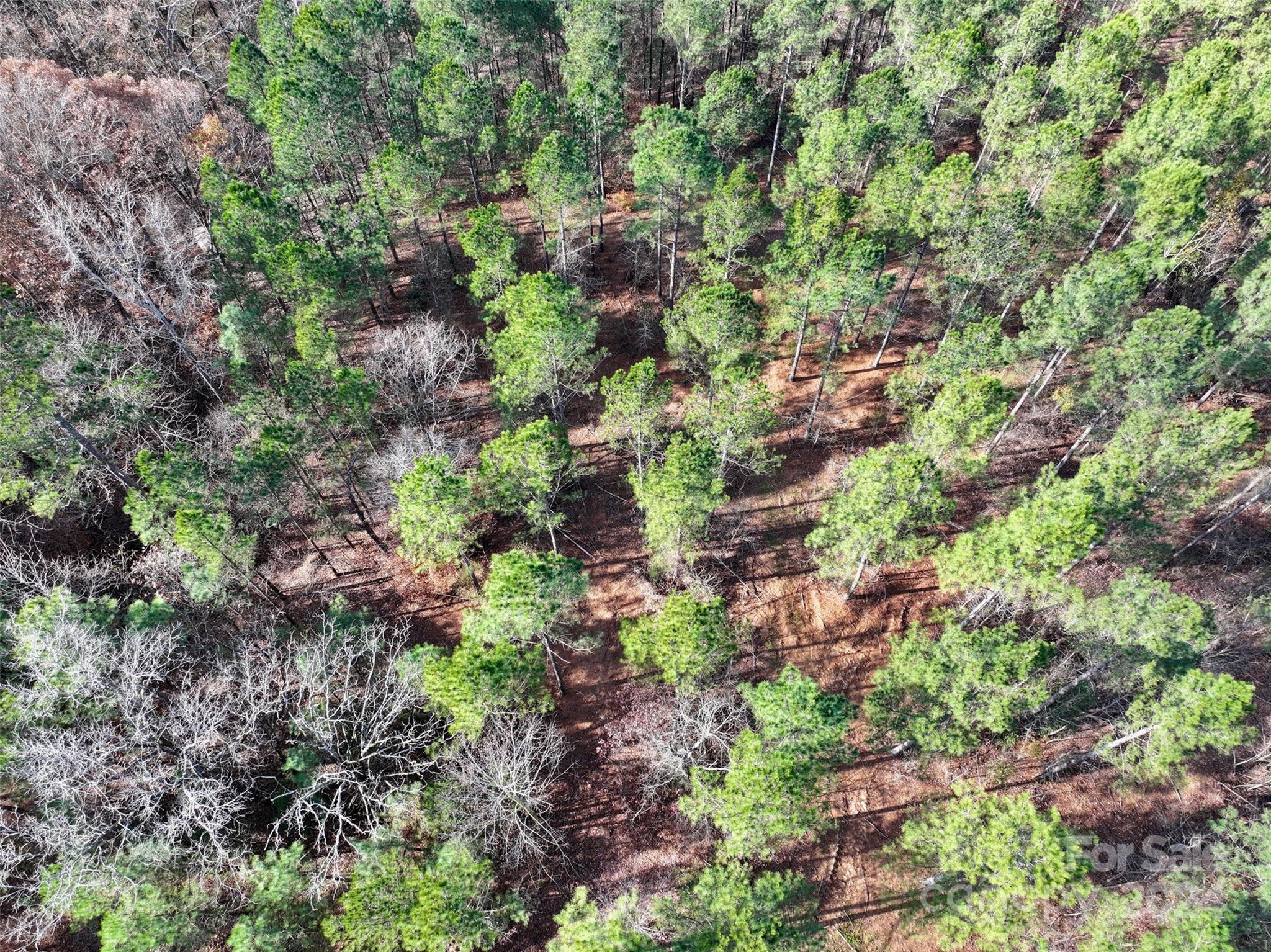 Tbd Gatewood Station Road Morven, NC 28119 - Photo 12 of 17 Gallery Image 12