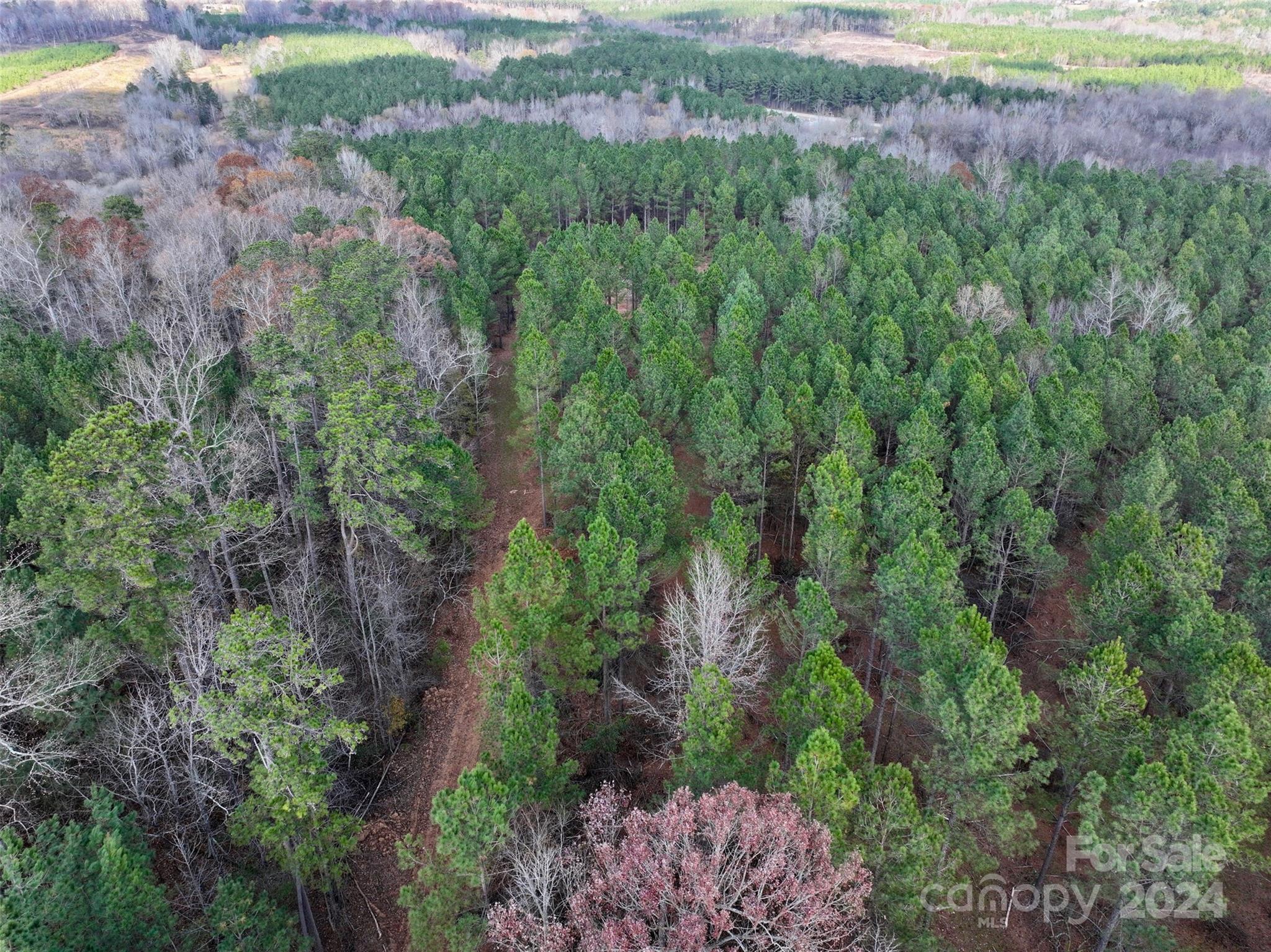 Tbd Gatewood Station Road Morven, NC 28119 - Photo 13 of 17 Gallery Image 13