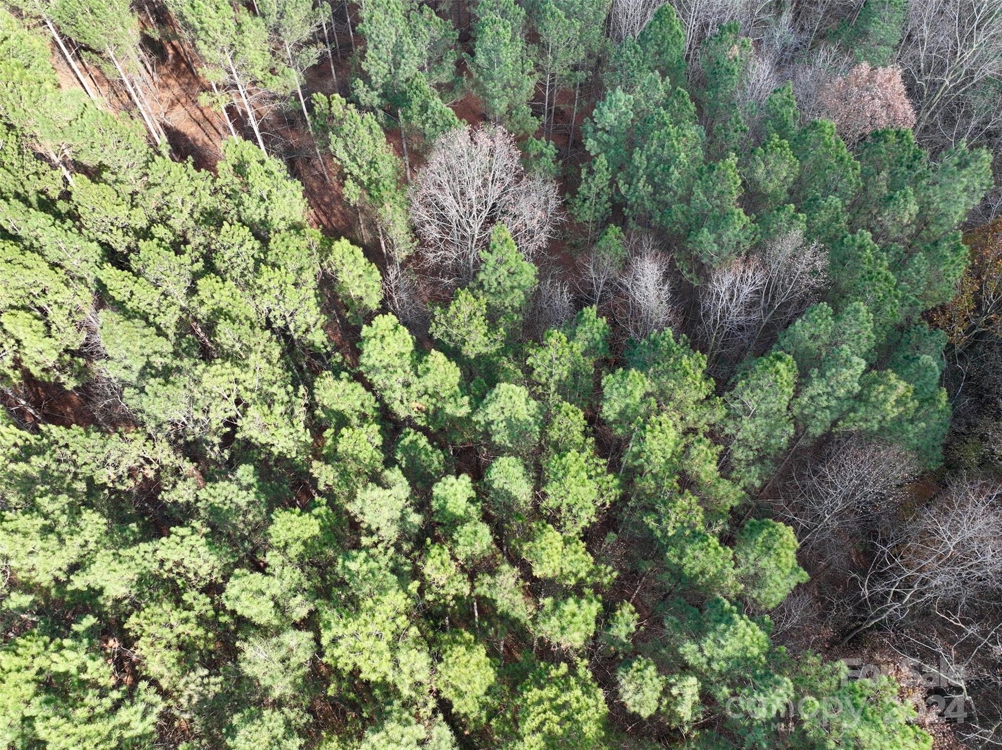 Tbd Gatewood Station Road Morven, NC 28119 - Photo 14 of 17 Gallery Image 14