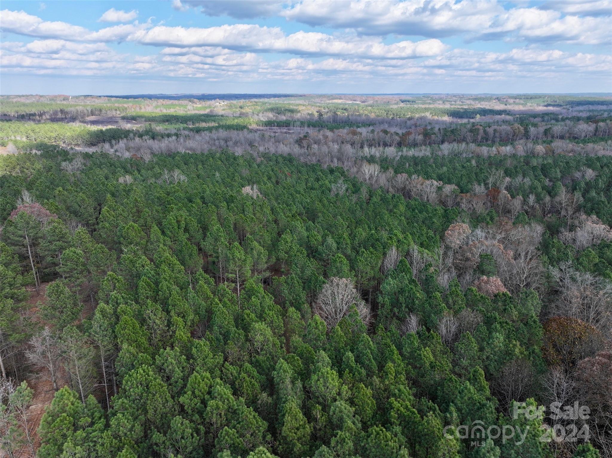 Tbd Gatewood Station Road Morven, NC 28119 - Photo 2 of 17 Gallery Image 2