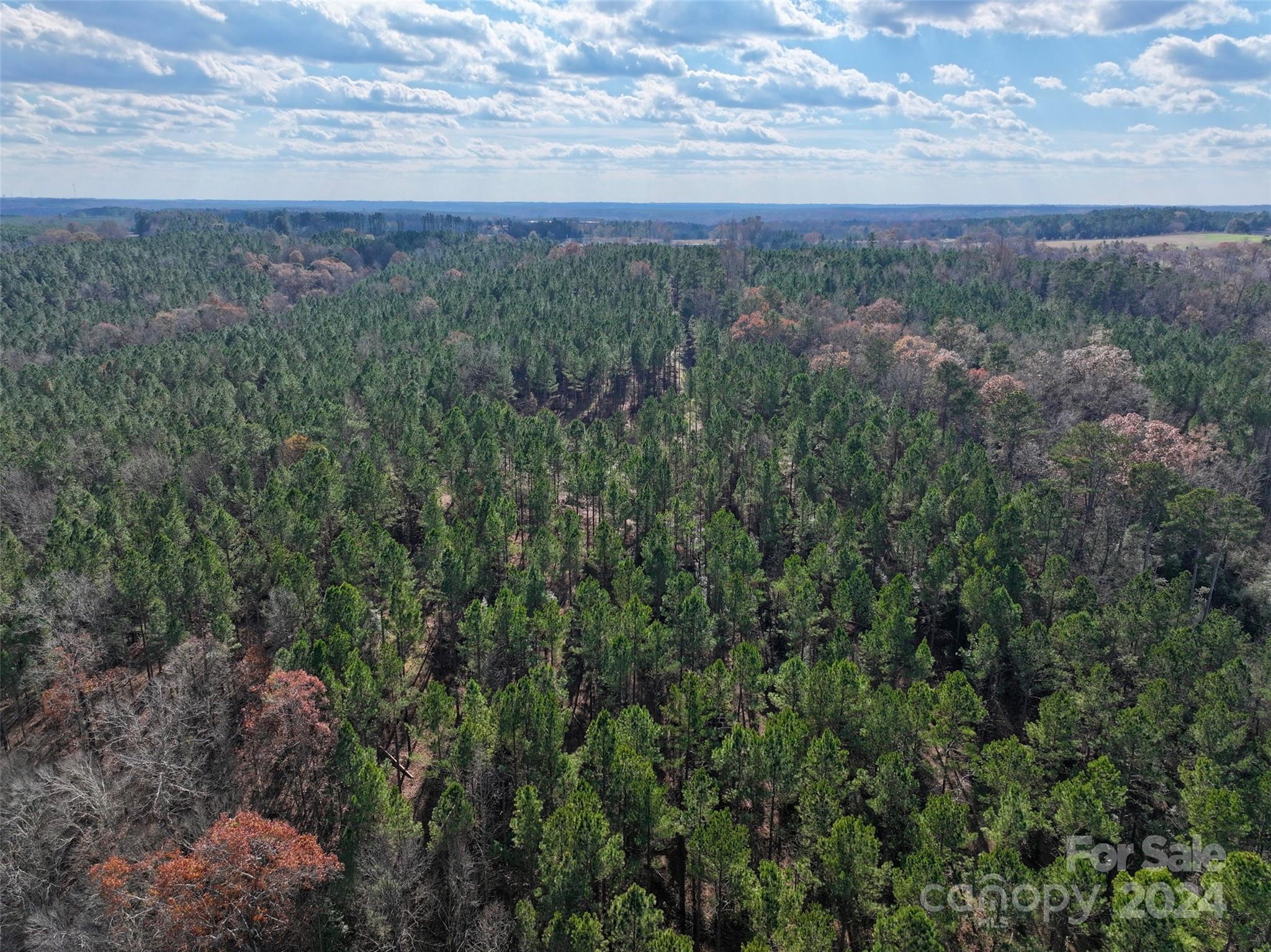 Tbd Gatewood Station Road Morven, NC 28119 - Photo 3 of 17 Gallery Image 3