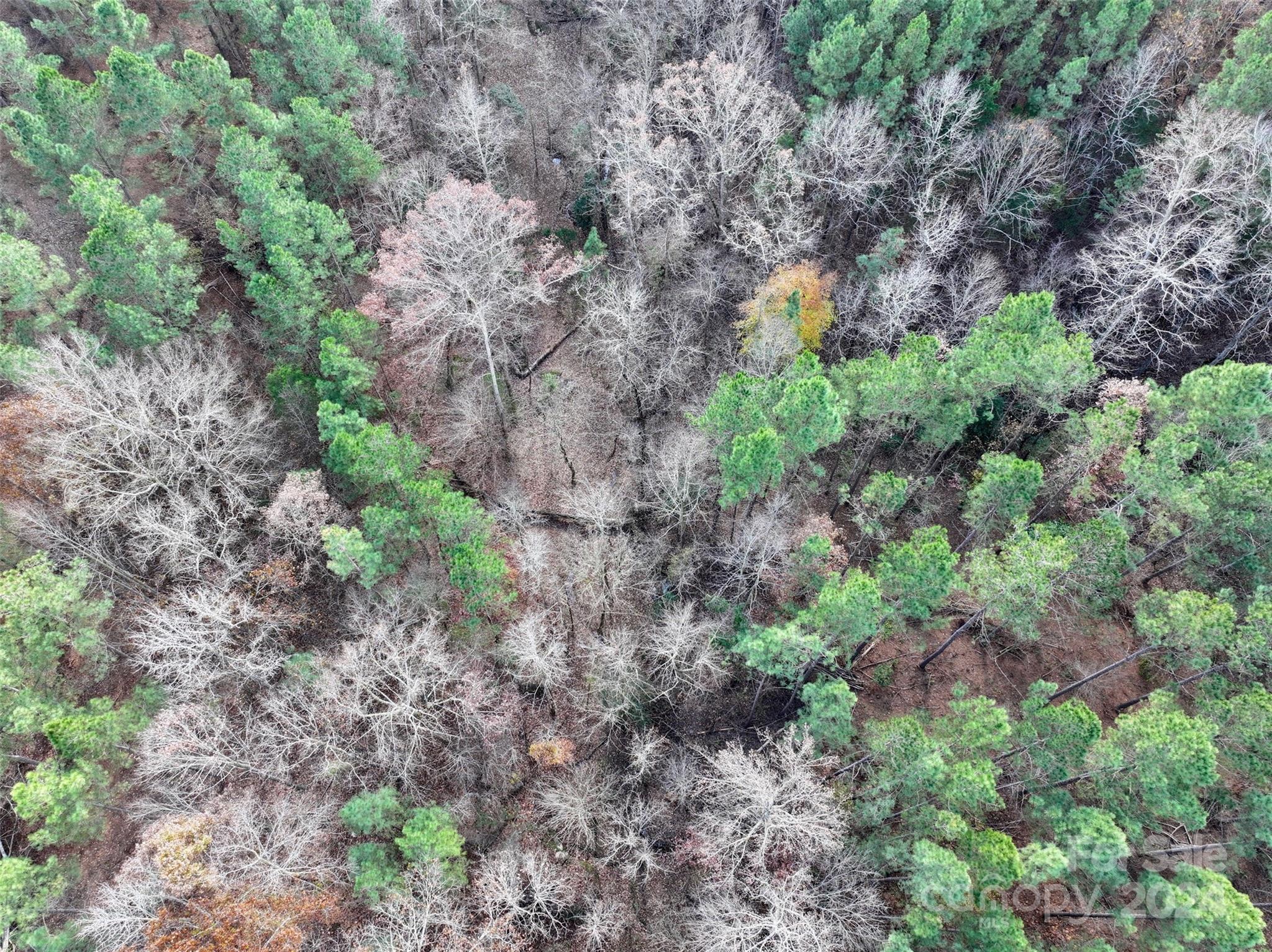 Tbd Gatewood Station Road Morven, NC 28119 - Photo 5 of 17 Gallery Image 5