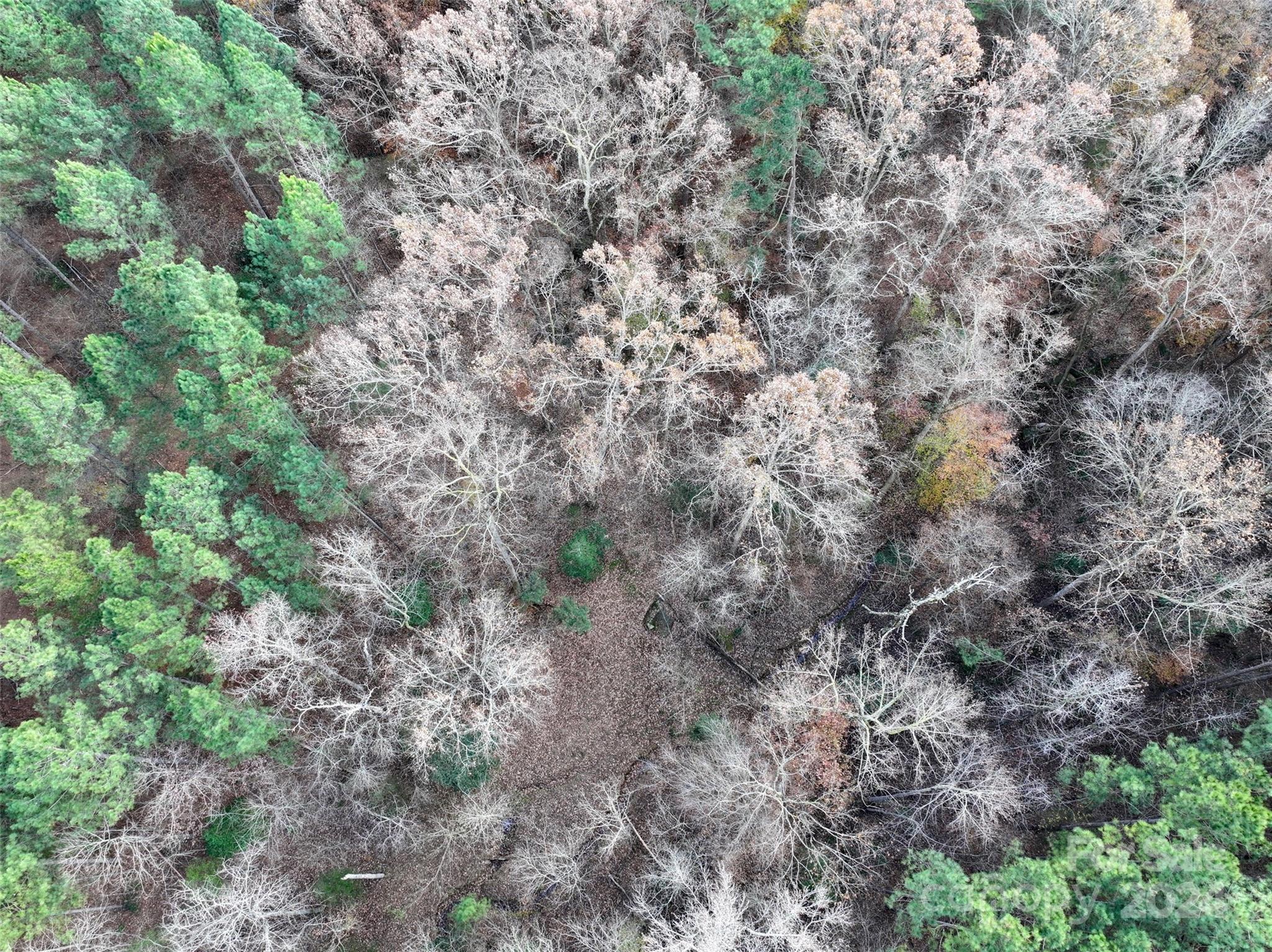 Tbd Gatewood Station Road Morven, NC 28119 - Photo 7 of 17 Gallery Image 7