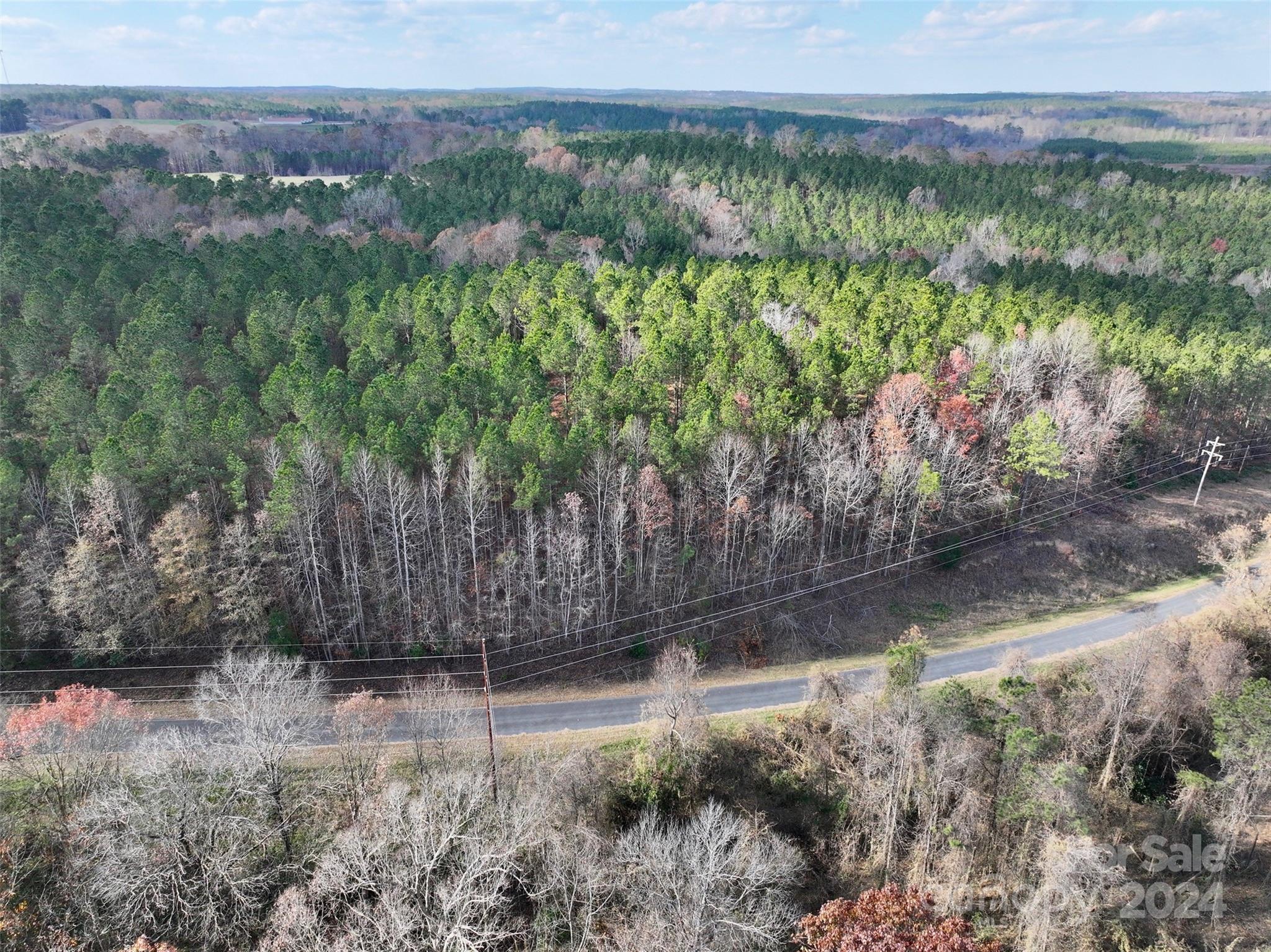 Tbd Gatewood Station Road Morven, NC 28119 - Photo 10 of 17 Gallery Image 10