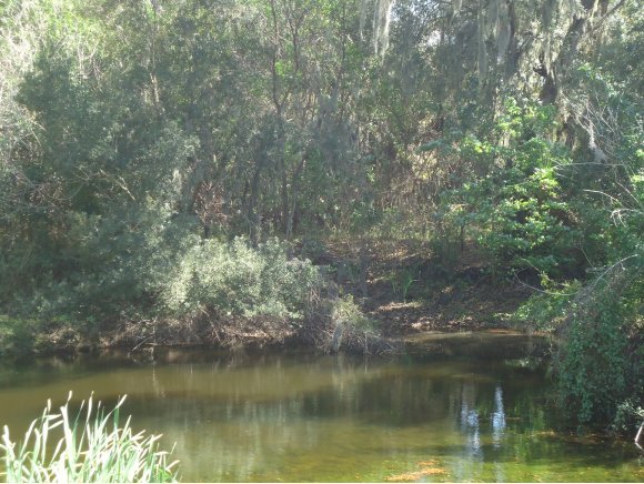 1379 County Line Road Oak Hill, FL 32759 - Photo 8 of 8 Additional Photo