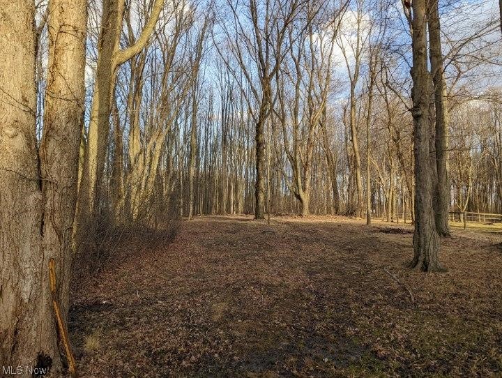 8580 Cox Road Windsor, OH 44099 - Photo 27 of 29