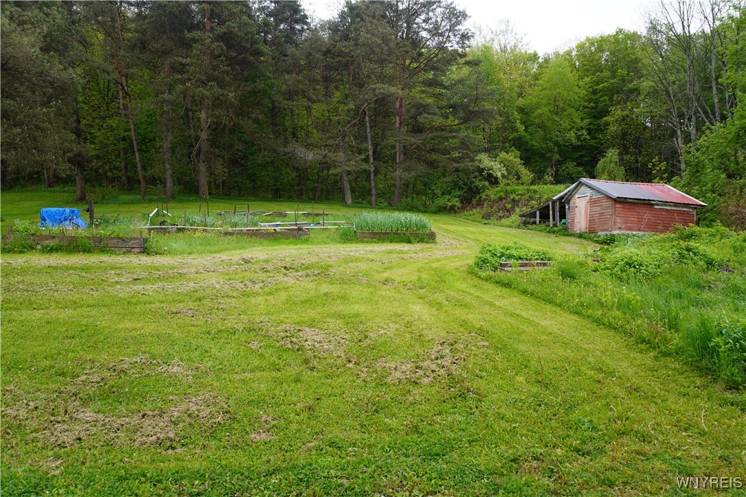 3468 Highway 39 Eagle, NY 14024 - Photo 3 of 16