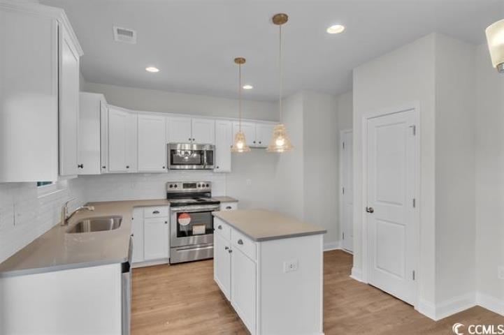 2458 Campton Loop Conway, SC 29527 - Photo 9 of 22