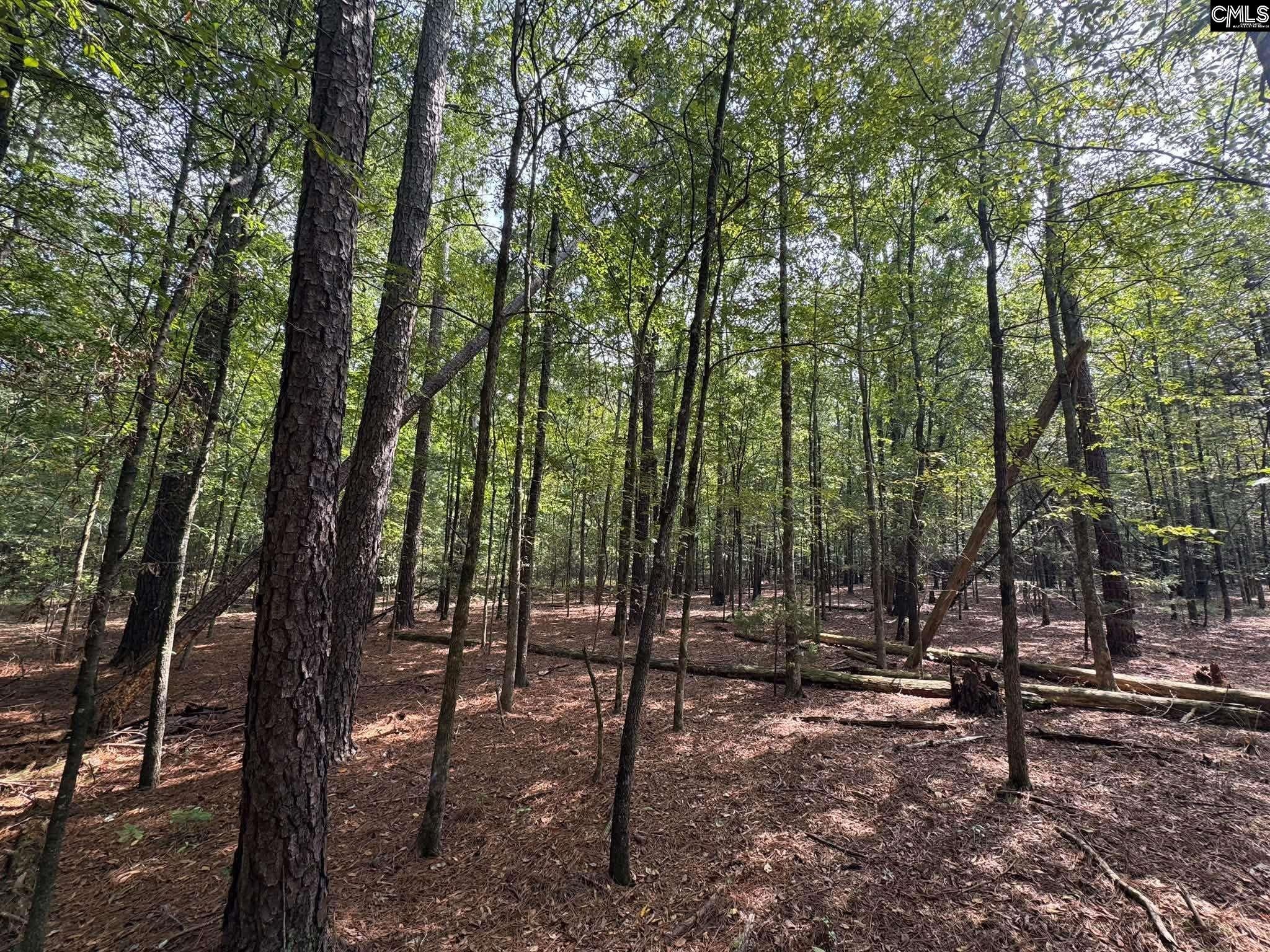 Pencreek Road Johnston, SC 29832 - Photo 31 of 59 Gallery Image 31