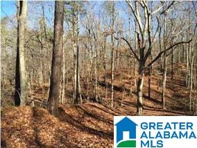 285 Stonegate Drive, Unit 46 Birmingham, AL 35242 - Photo 1 of 1