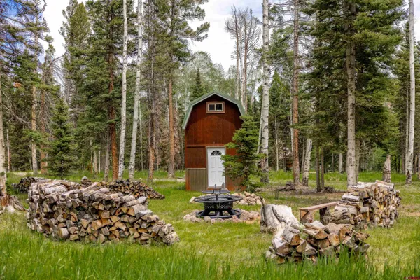 $119,700 | 601 Balsam Road, Cimarron, CO 81220
