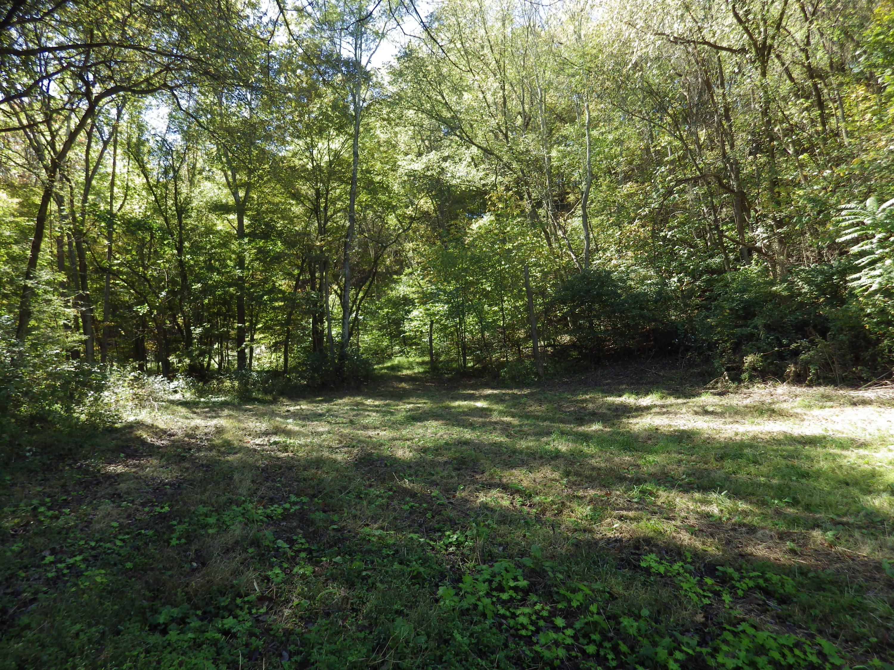 0 Laurel Run Park Road Church Hill, TN 37642 - Photo 2 of 13 2016-05-30 00.11.13