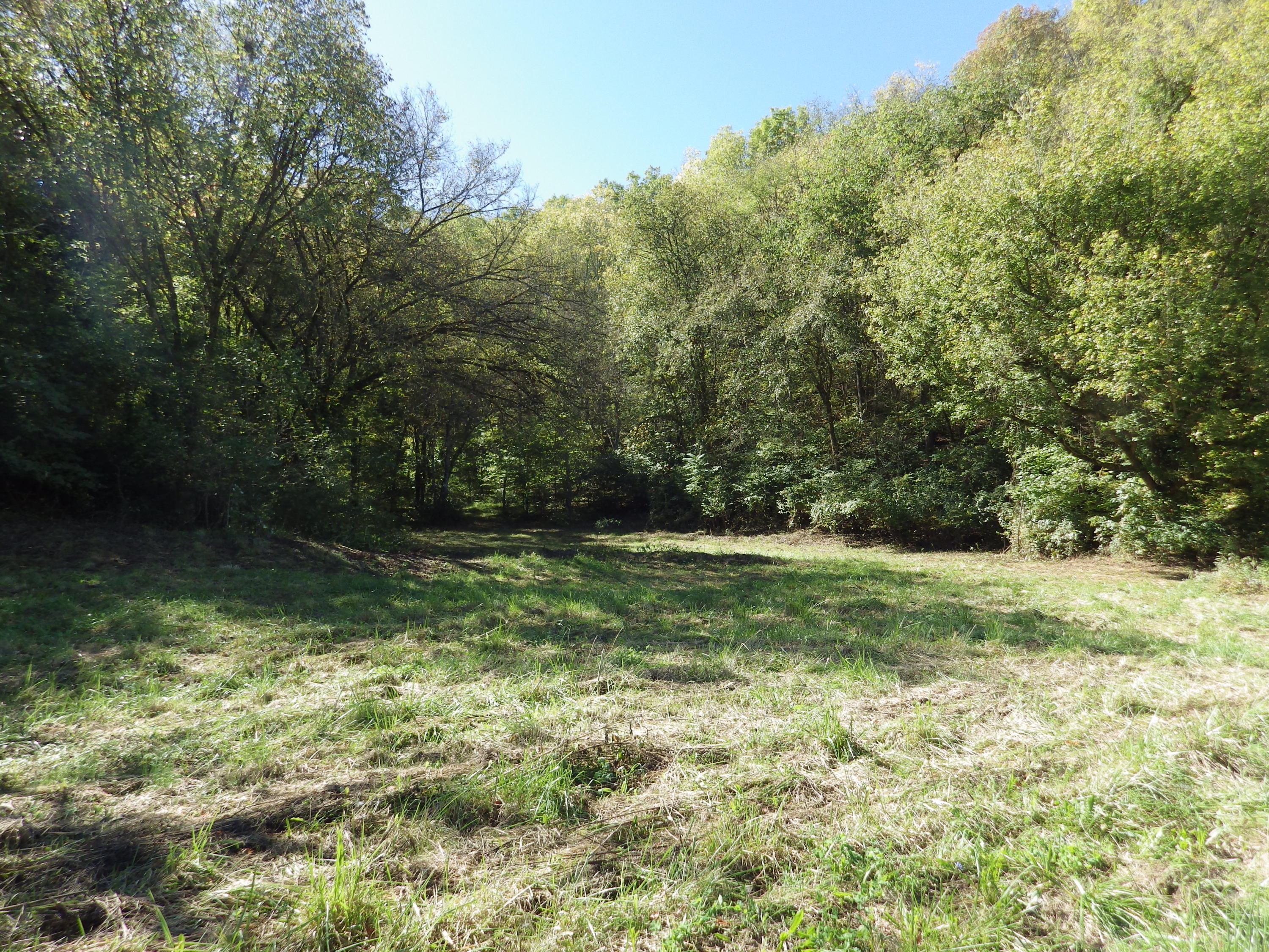 0 Laurel Run Park Road Church Hill, TN 37642 - Photo 3 of 13 2016-05-30 00.13.11