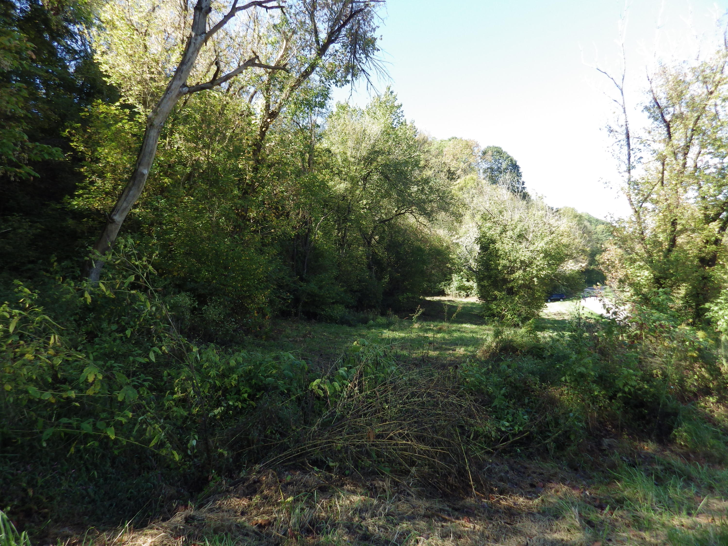 0 Laurel Run Park Road Church Hill, TN 37642 - Photo 4 of 13 2016-05-30 00.14.27