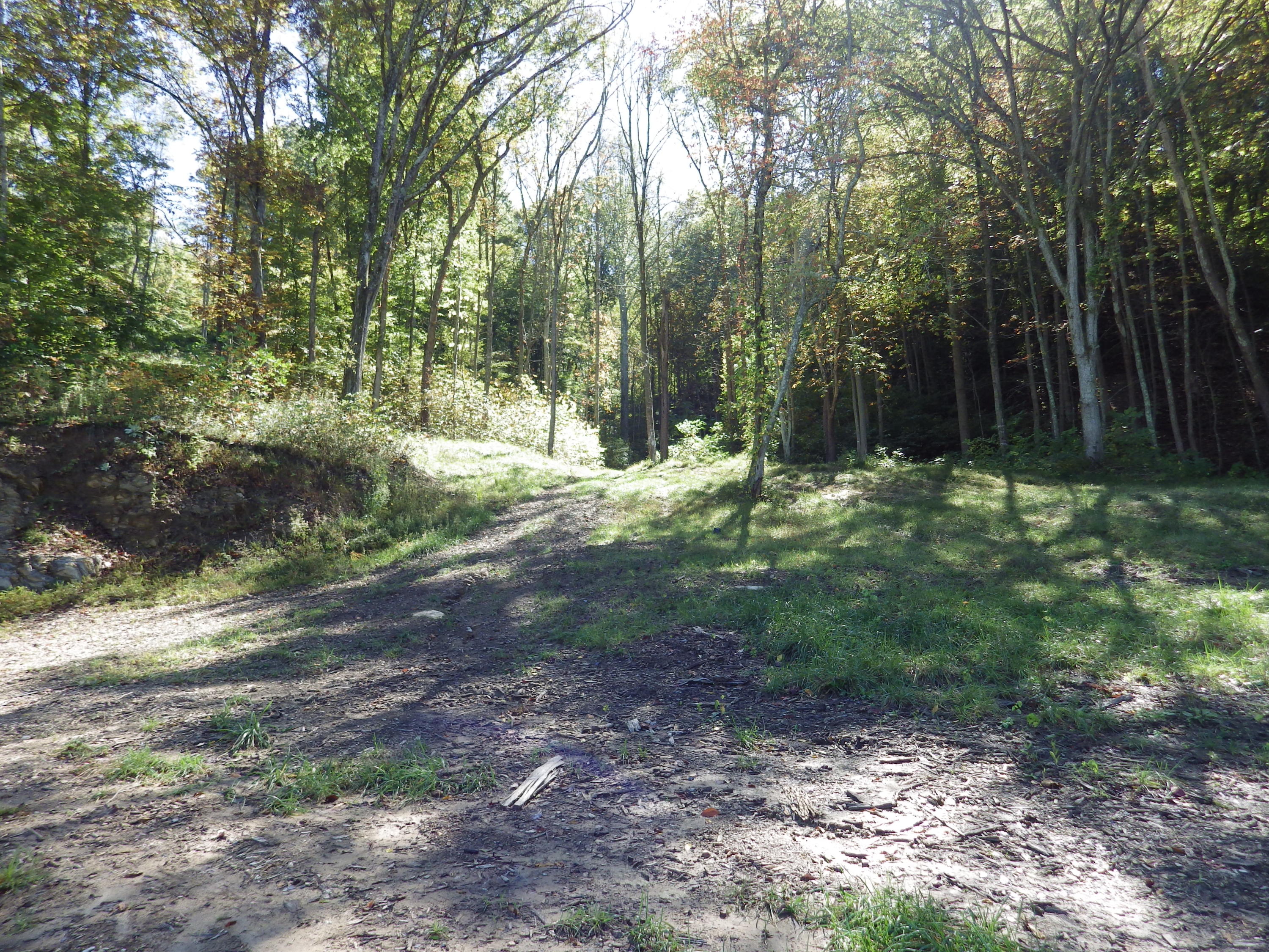 0 Laurel Run Park Road Church Hill, TN 37642 - Photo 6 of 13 2016-05-30 00.15.47