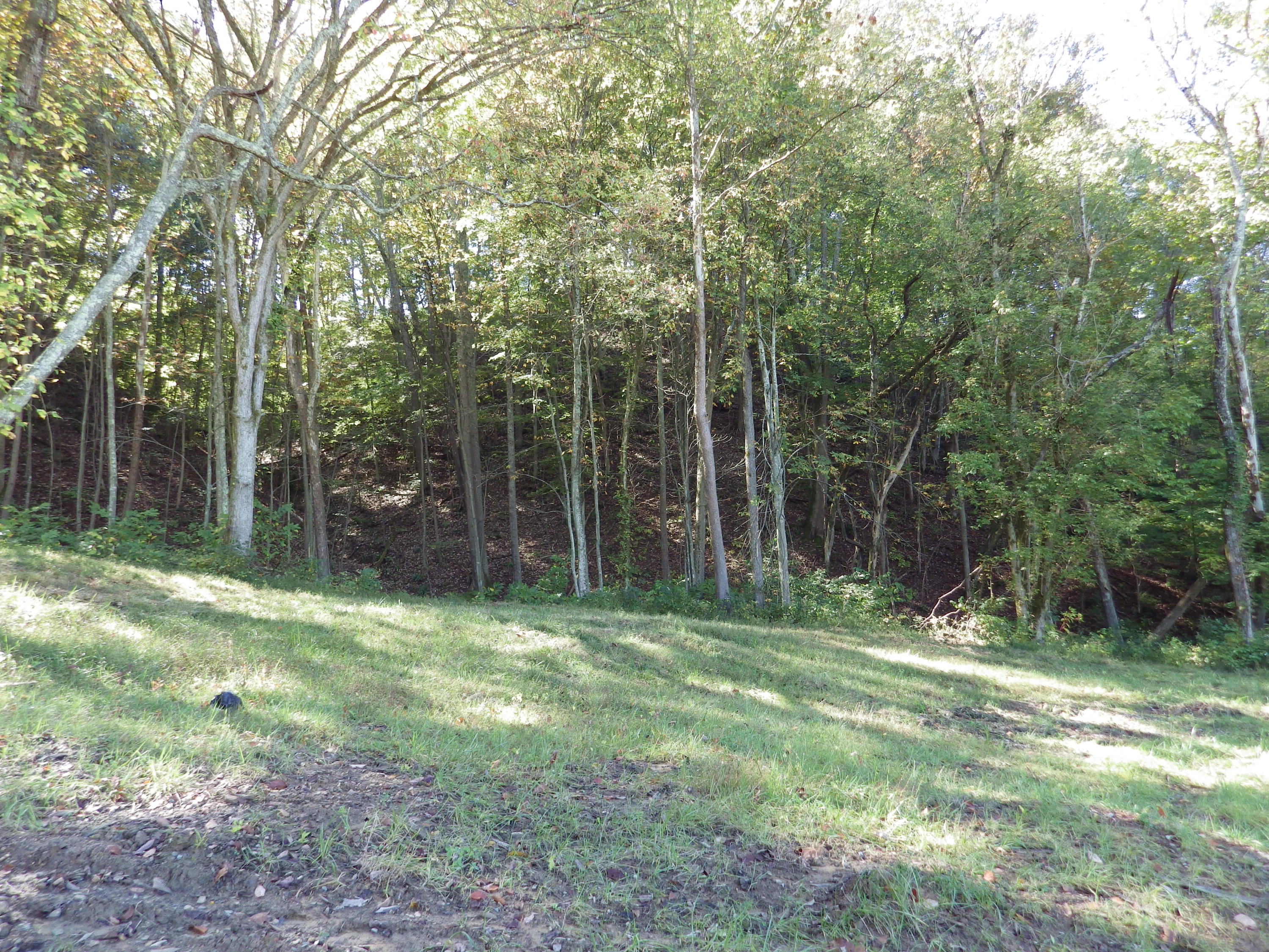 0 Laurel Run Park Road Church Hill, TN 37642 - Photo 7 of 13 2016-05-30 00.20.53