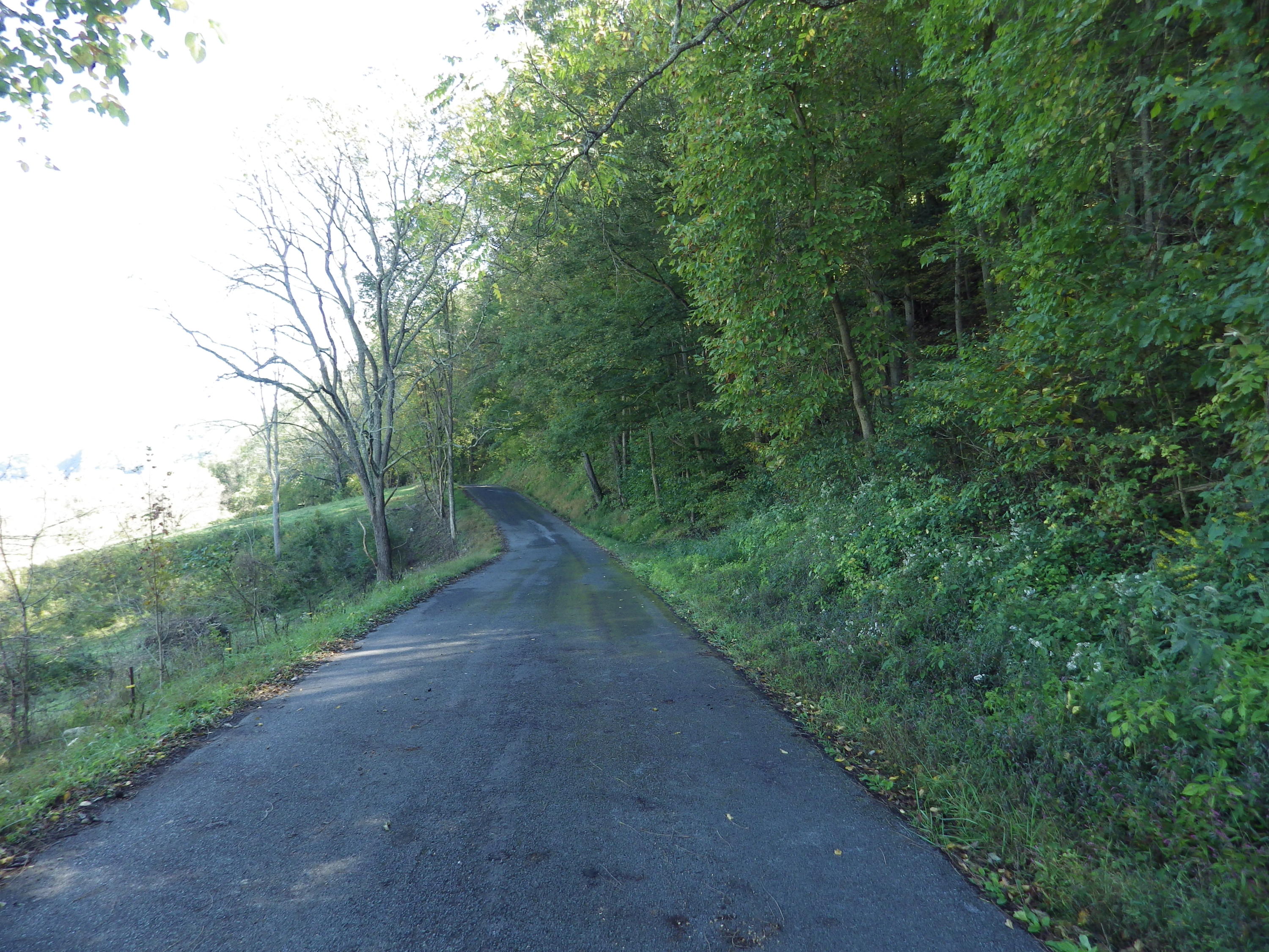 0 Laurel Run Park Road Church Hill, TN 37642 - Photo 8 of 13 2016-05-30 00.26.07