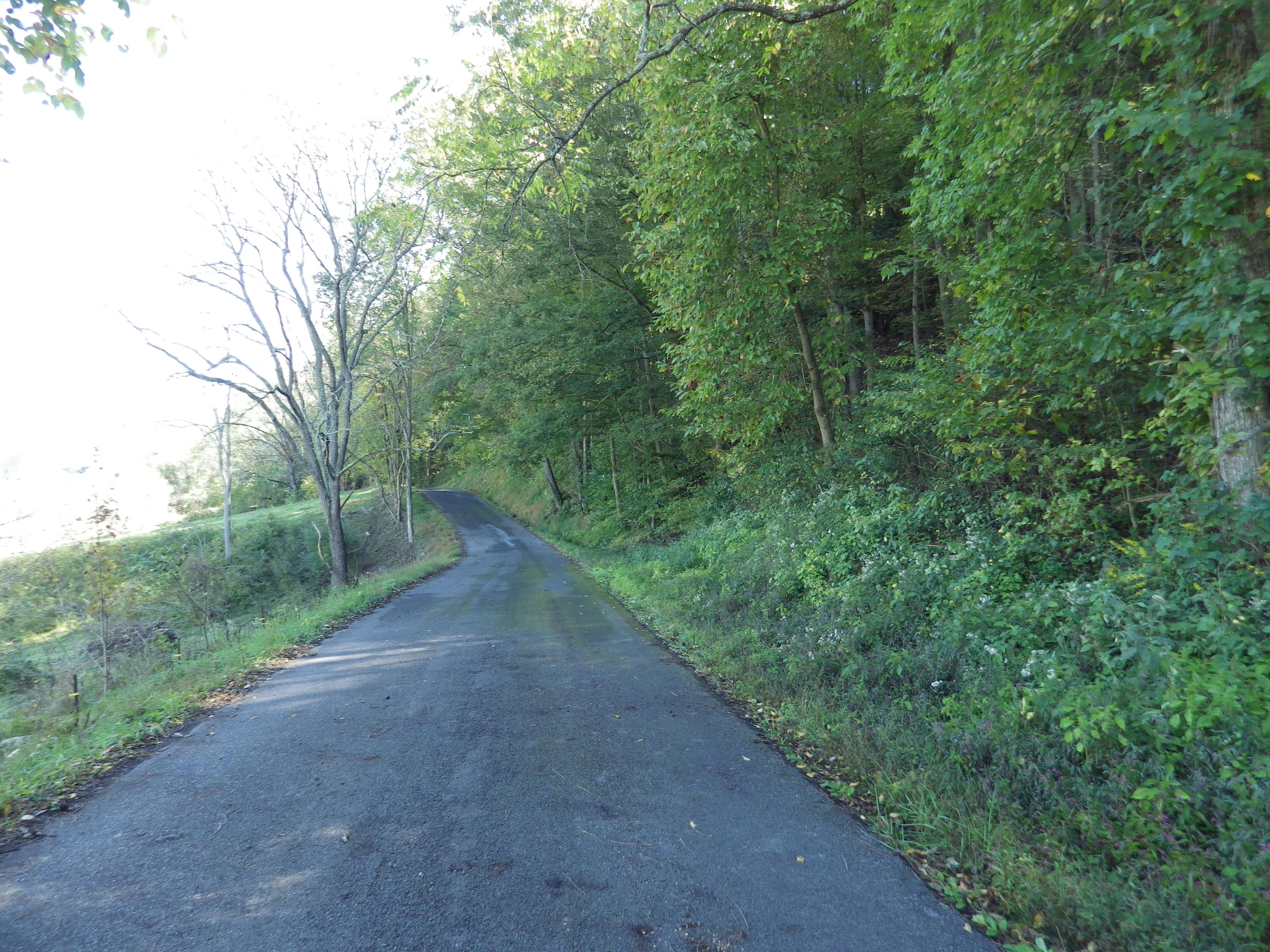 0 Laurel Run Park Road Church Hill, TN 37642 - Photo 9 of 13 2016-05-30 00.26.17