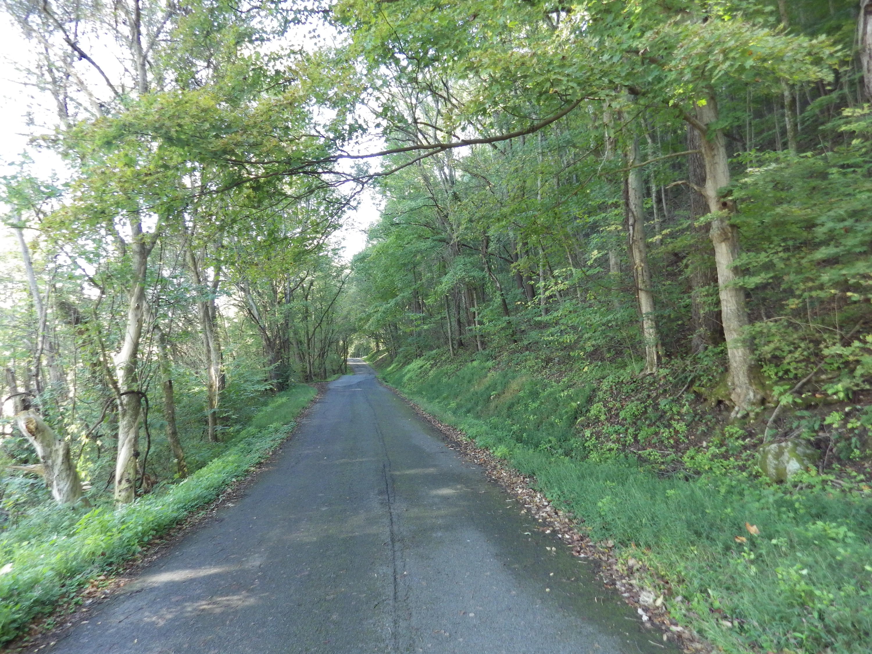 0 Laurel Run Park Road Church Hill, TN 37642 - Photo 10 of 13 2016-05-30 00.27.23