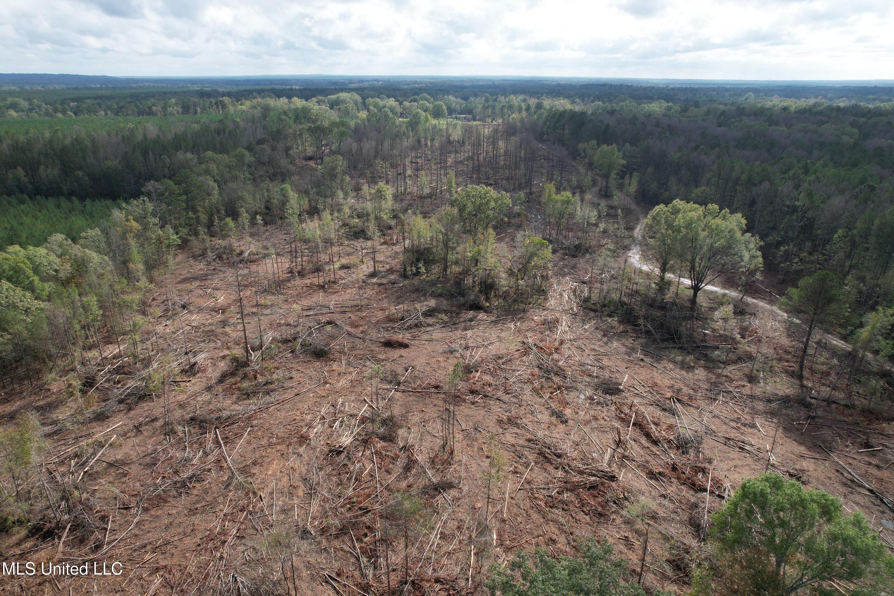 Holly Bush Road Road Pelahatchie, MS 39145 - Photo 2 of 8 DJI_0941