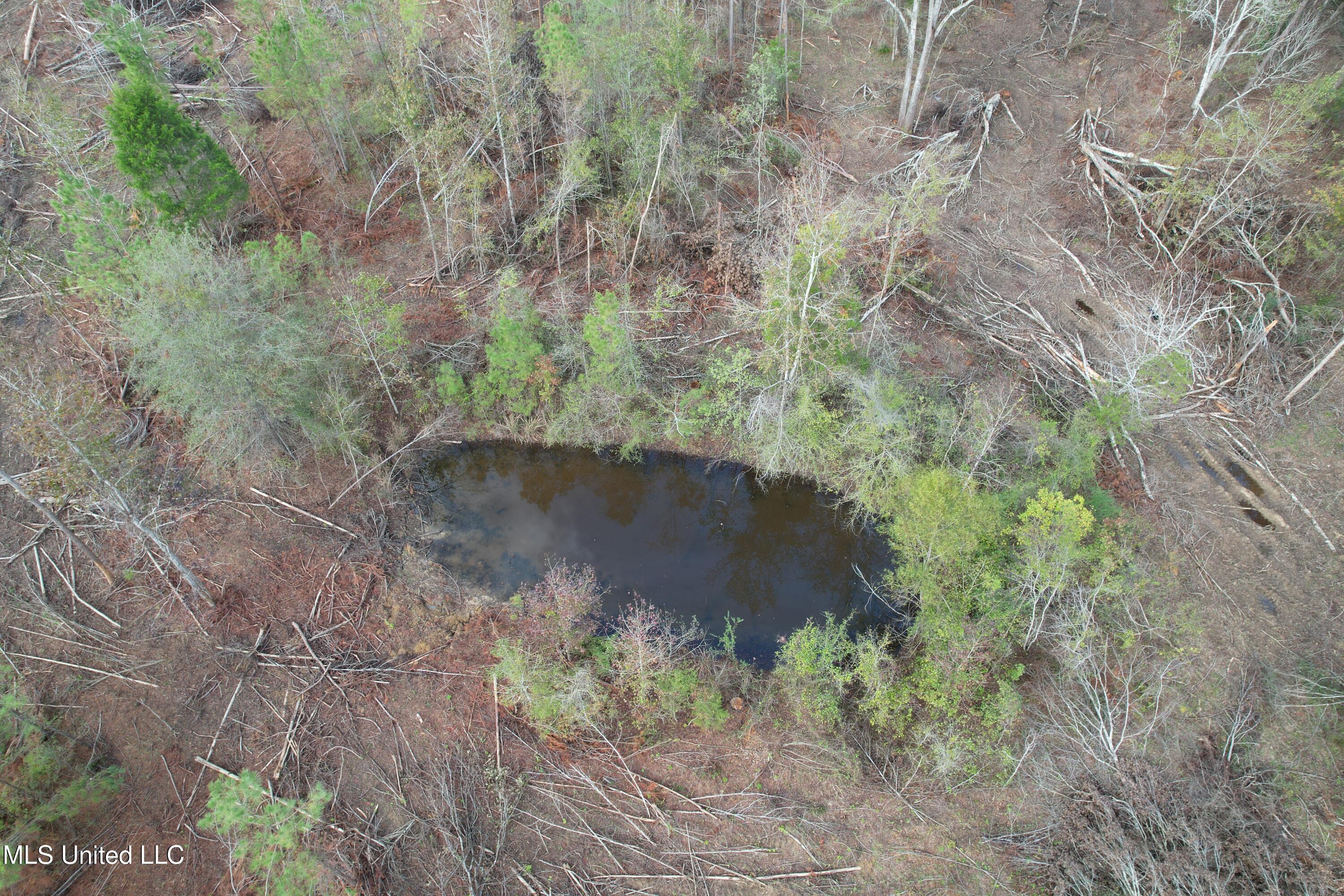 Holly Bush Road Road Pelahatchie, MS 39145 - Photo 6 of 8 DJI_0954