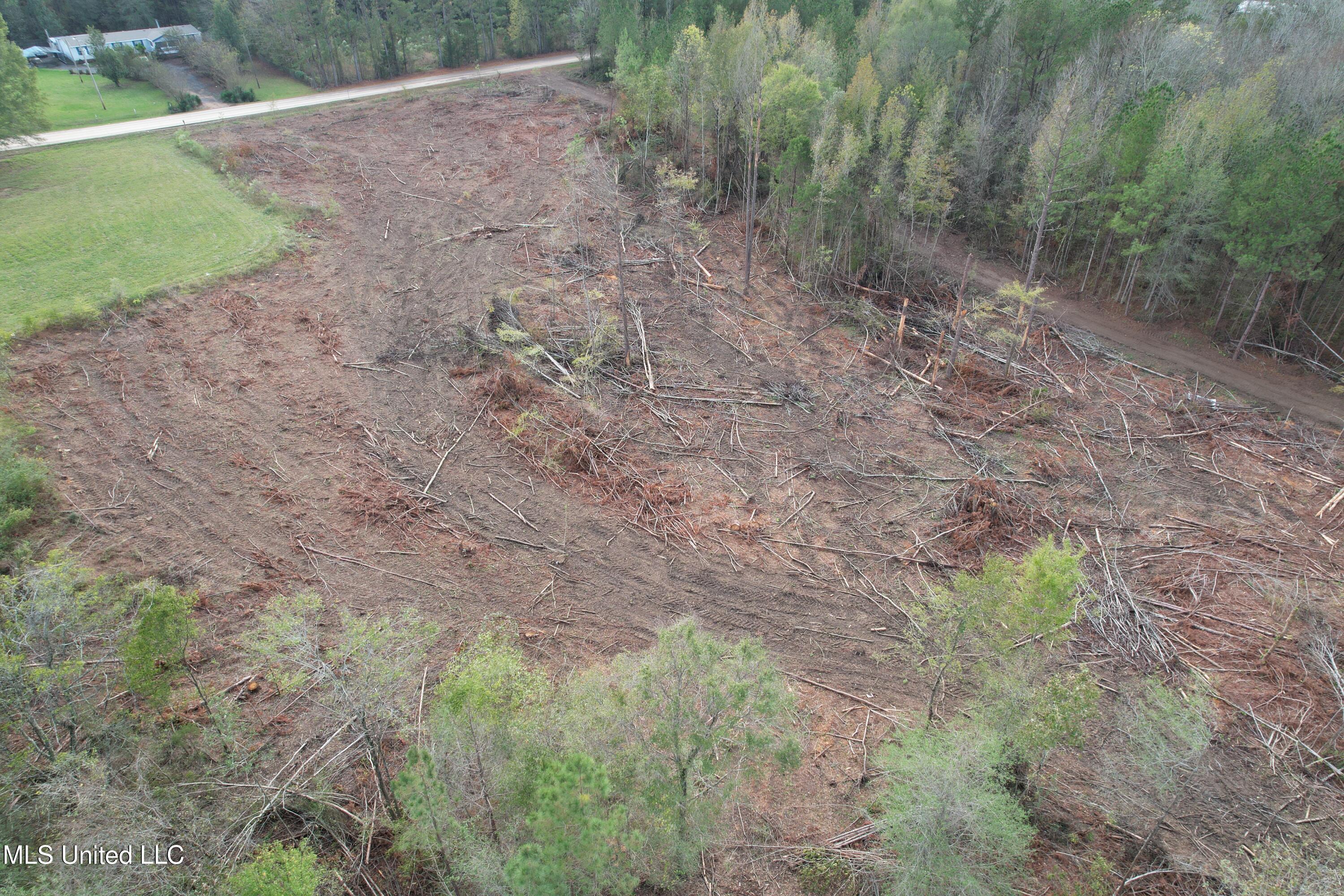 Holly Bush Road Road Pelahatchie, MS 39145 - Photo 7 of 8 DJI_0955
