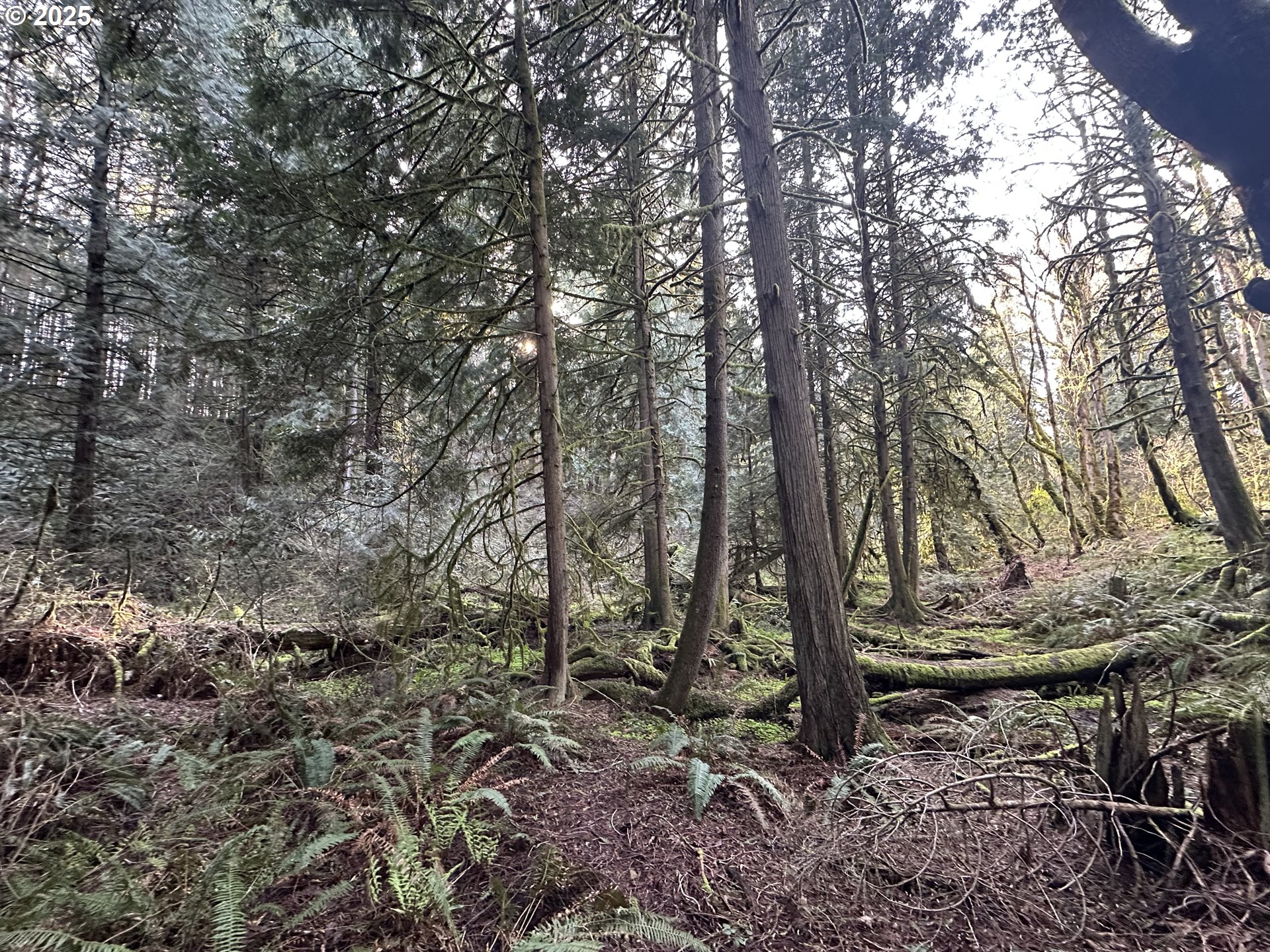 0 Southeast Divers Road Estacada, OR 97023 - Photo 14 of 19 Gallery Image 14