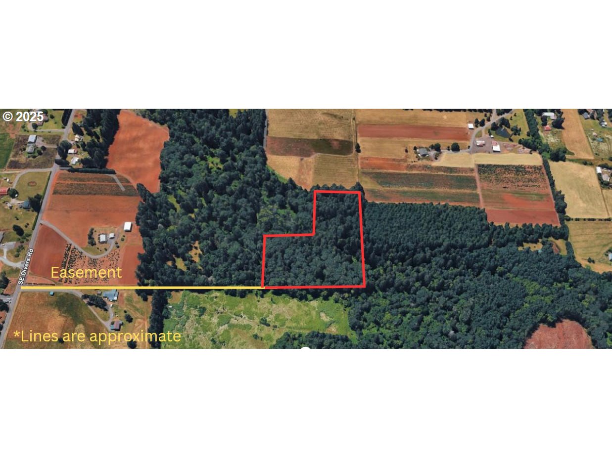 0 Southeast Divers Road Estacada, OR 97023 - Photo 3 of 19 Gallery Image 3