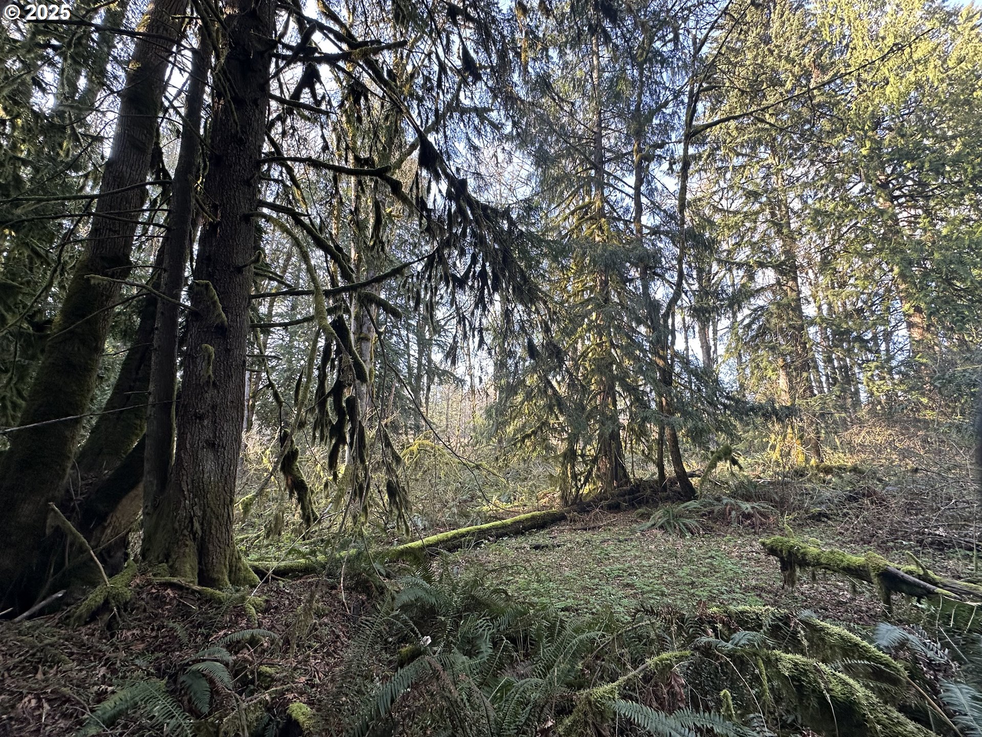 0 Southeast Divers Road Estacada, OR 97023 - Photo 10 of 19 Gallery Image 10