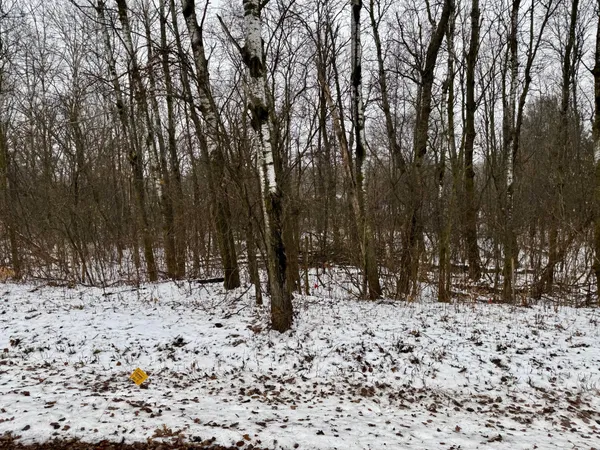 $49,900 | Lot 22 Short Ridge Estates, Eau Claire, WI 54701