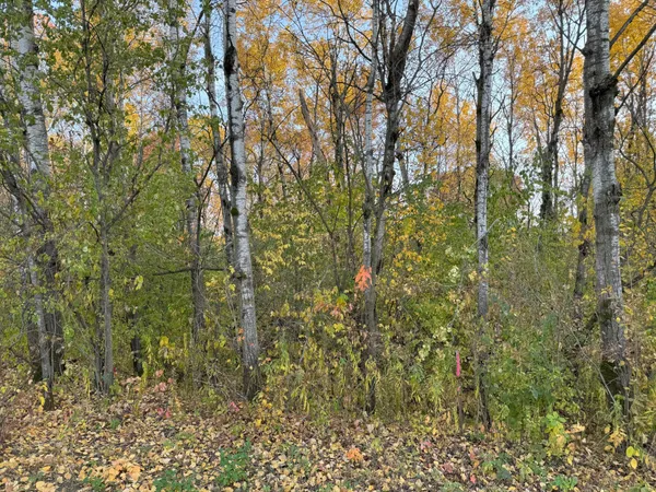 $49,900 | Lot 22 Short Ridge Estates, Eau Claire, WI 54701