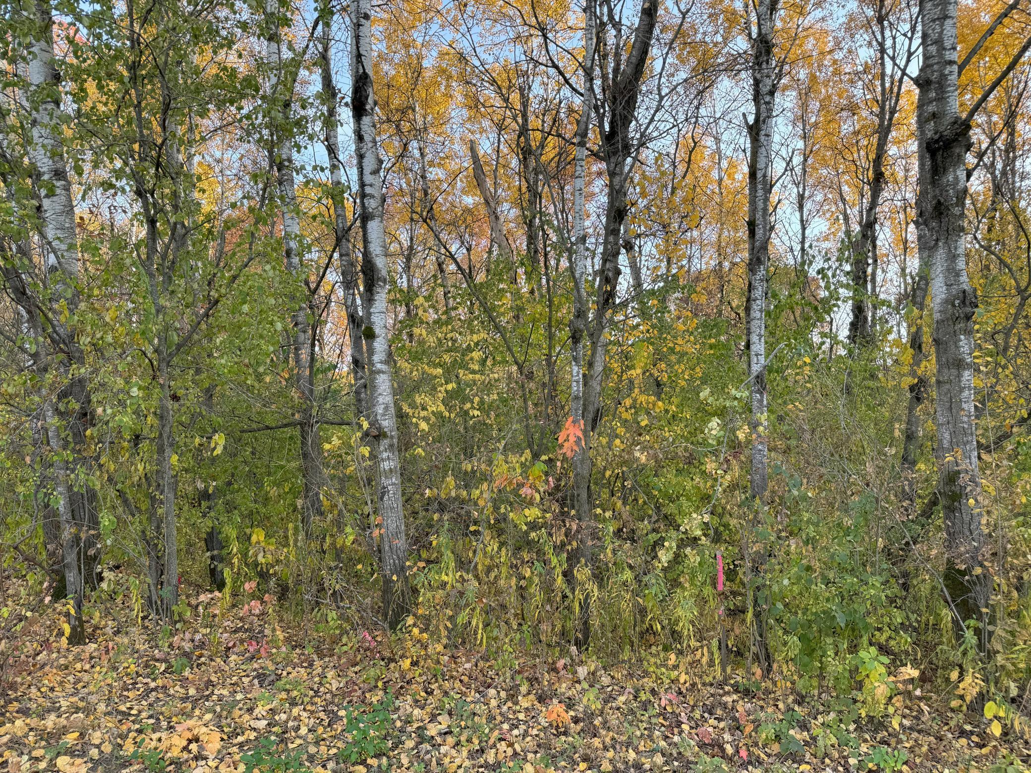Lot 22 Short Ridge Estates Eau Claire, WI 54701 - Photo 7 of 15
