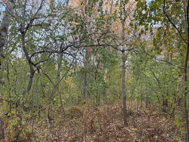 $49,900 | Lot 22 Short Ridge Estates, Eau Claire, WI 54701