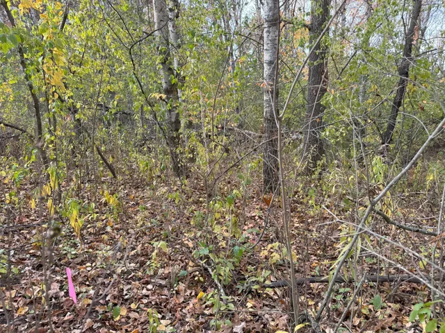 $49,900 | Lot 22 Short Ridge Estates, Eau Claire, WI 54701